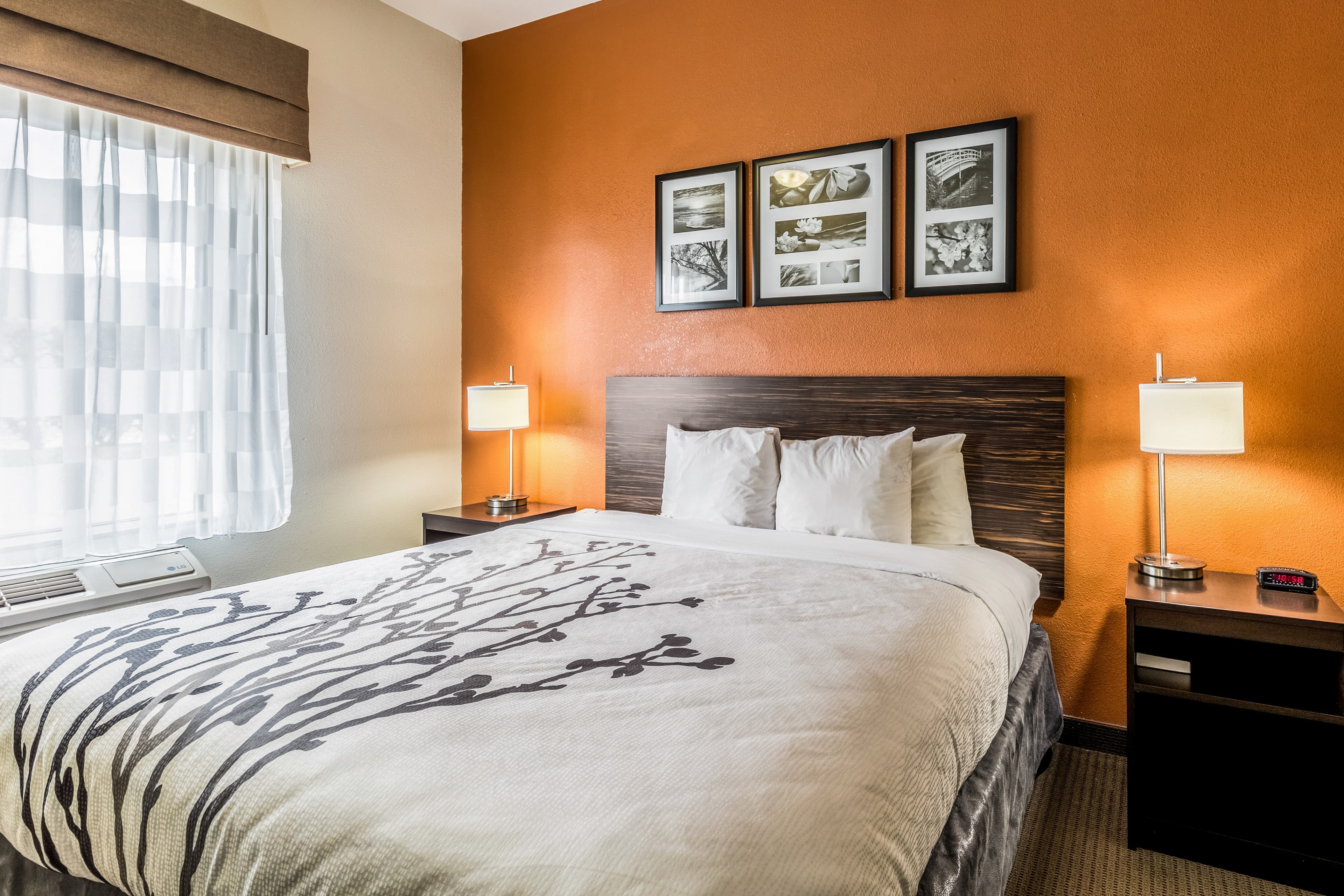 Sleep Inn & Suites Stafford - Sugarland - Image 2
