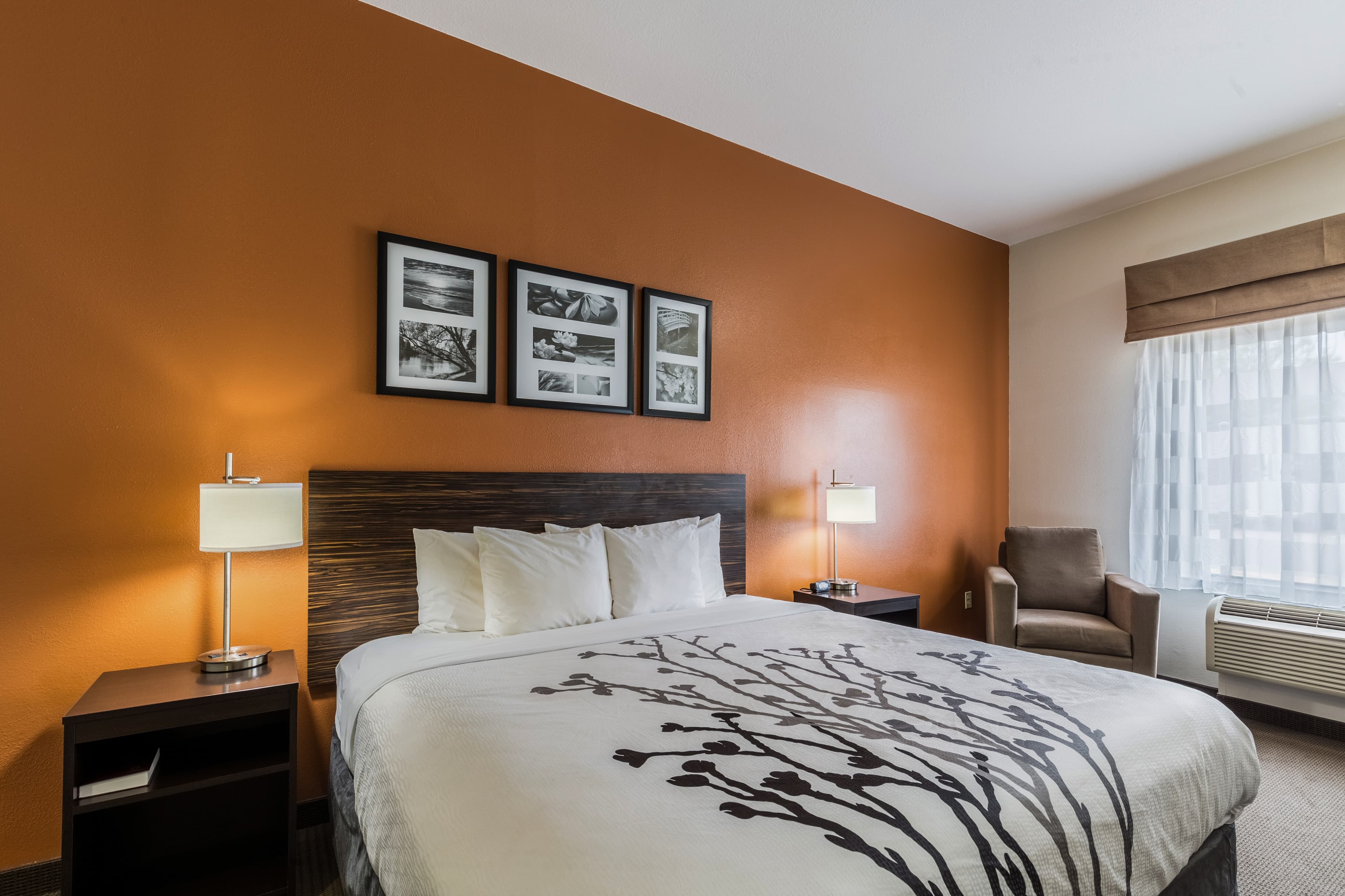 Sleep Inn & Suites Stafford - Sugarland — 9
