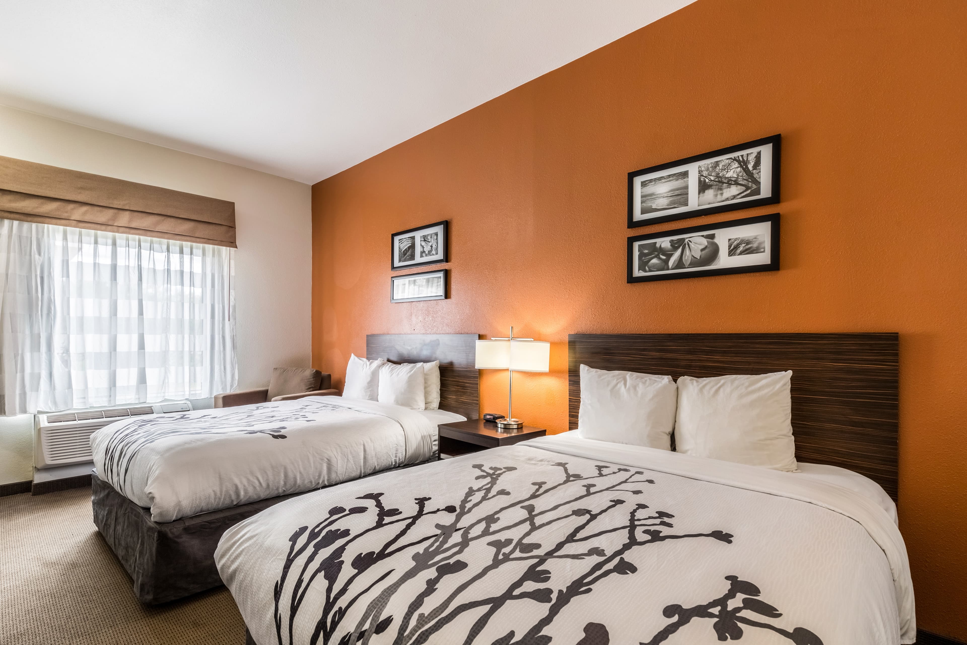 Sleep Inn & Suites Stafford - Sugarland — 7