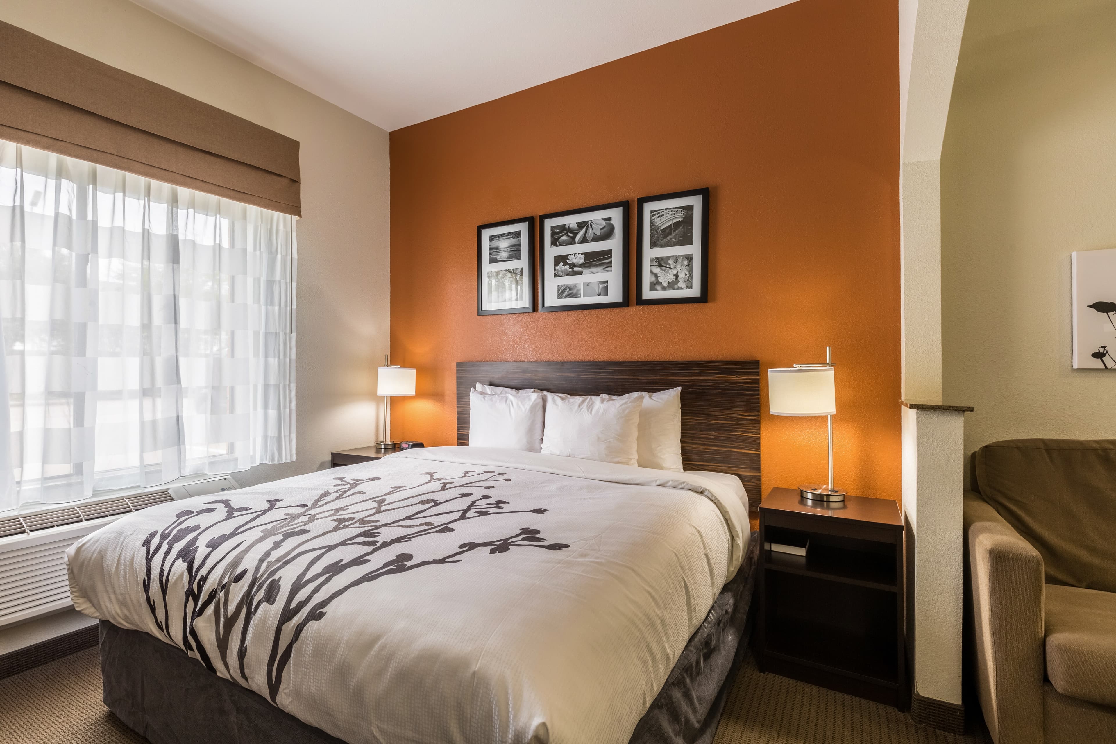 Sleep Inn & Suites Stafford - Sugarland - Image 1