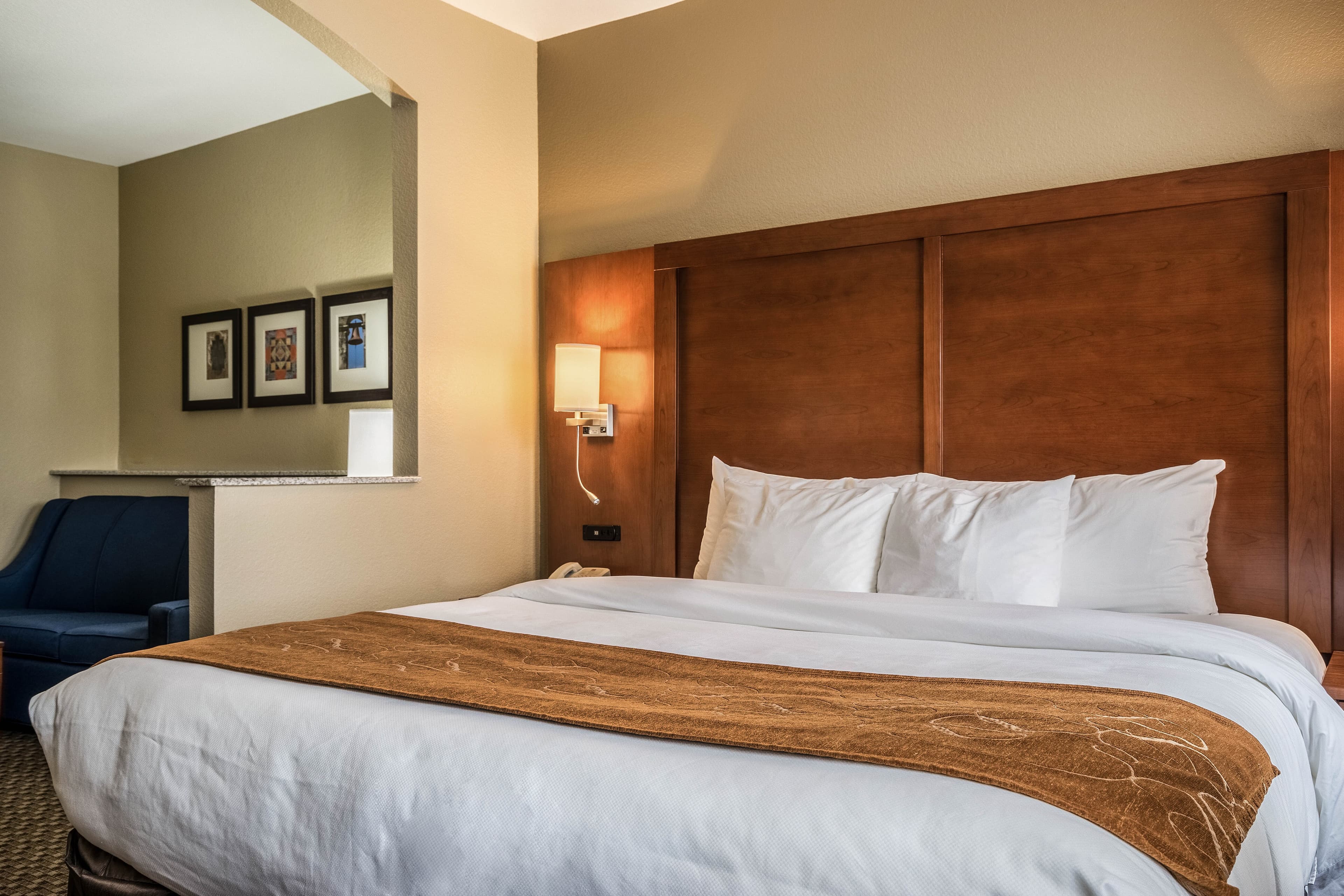 Comfort Suites Near Texas State University — 14
