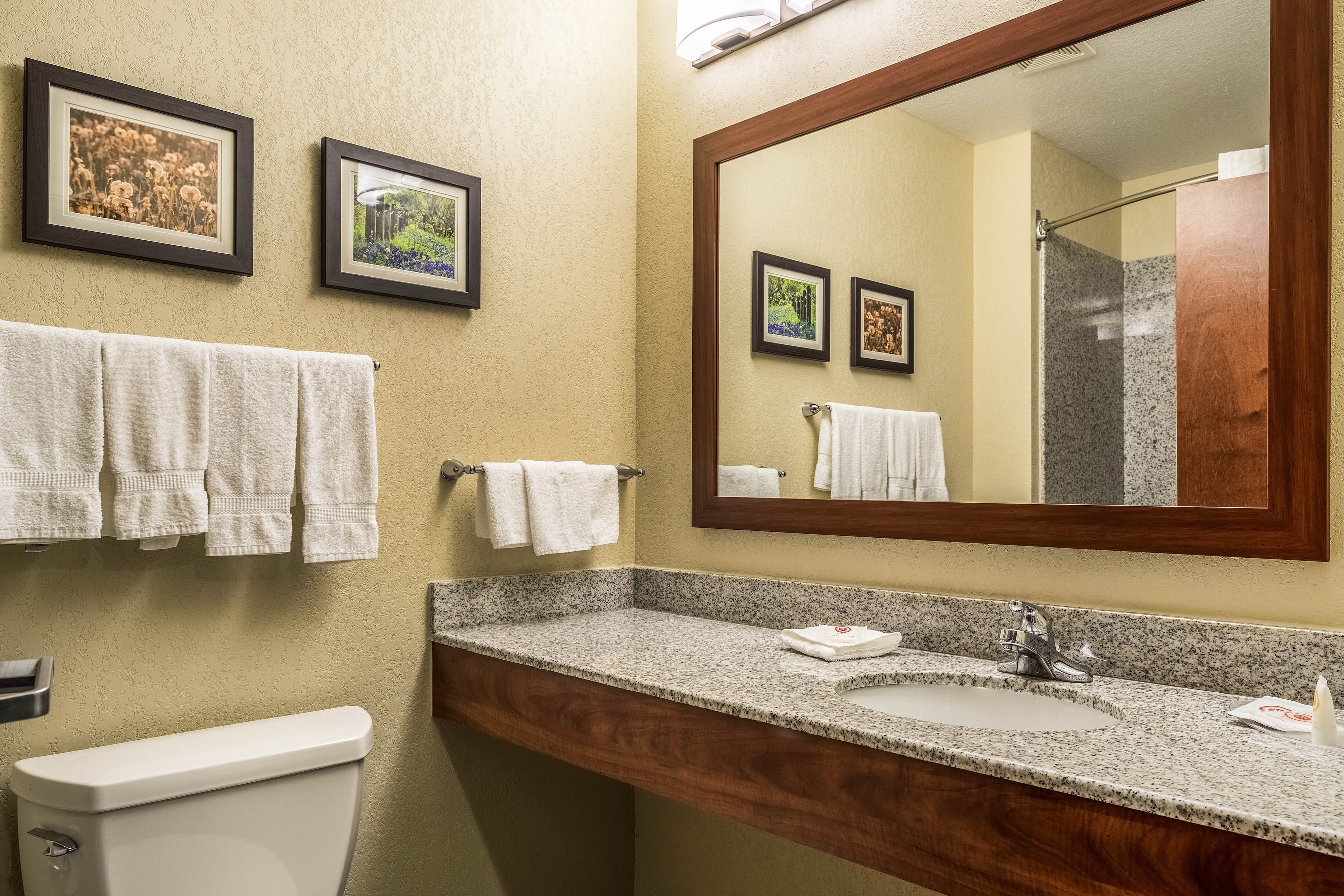 Comfort Suites Near Texas State University — 16