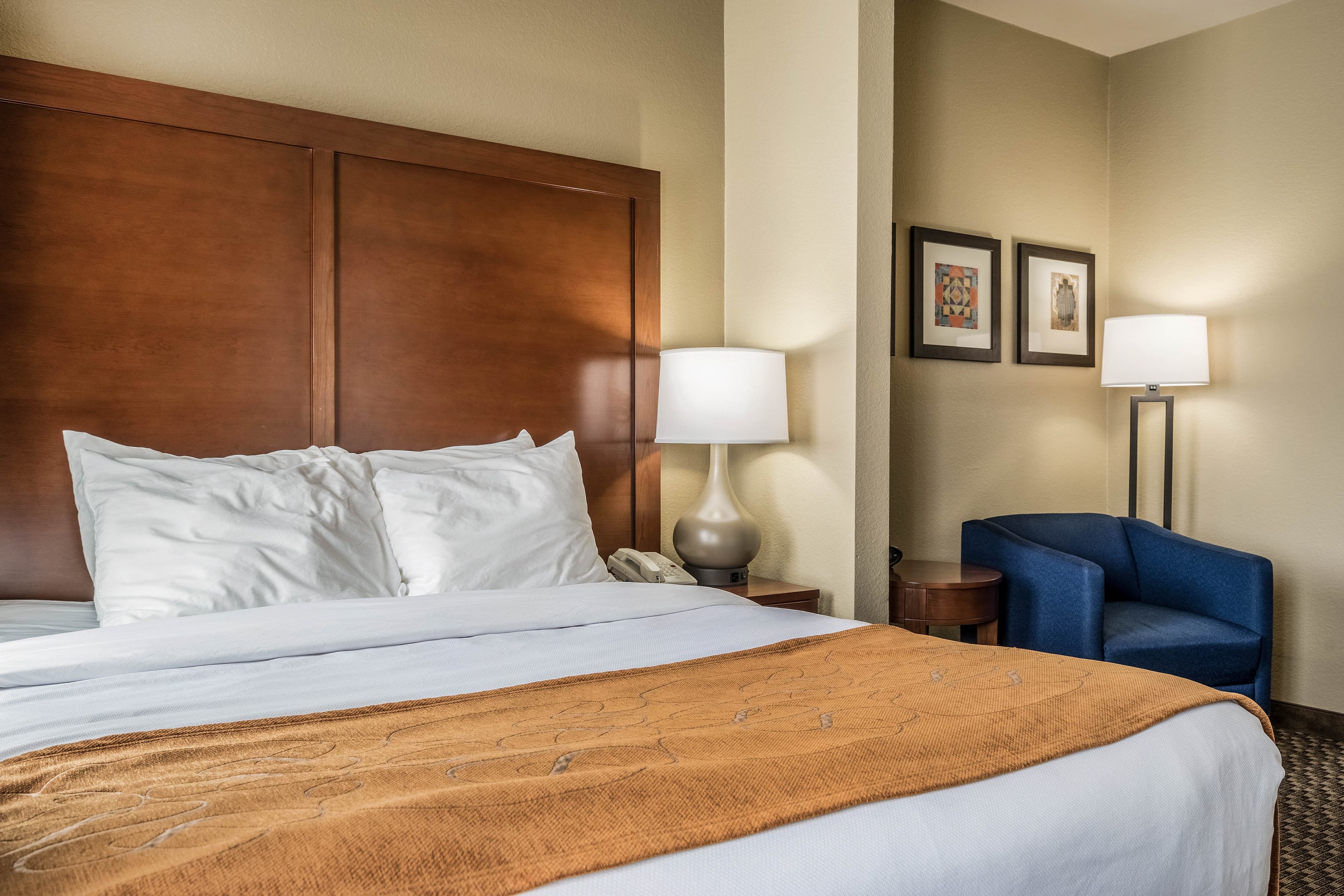 Comfort Suites Near Texas State University — 20