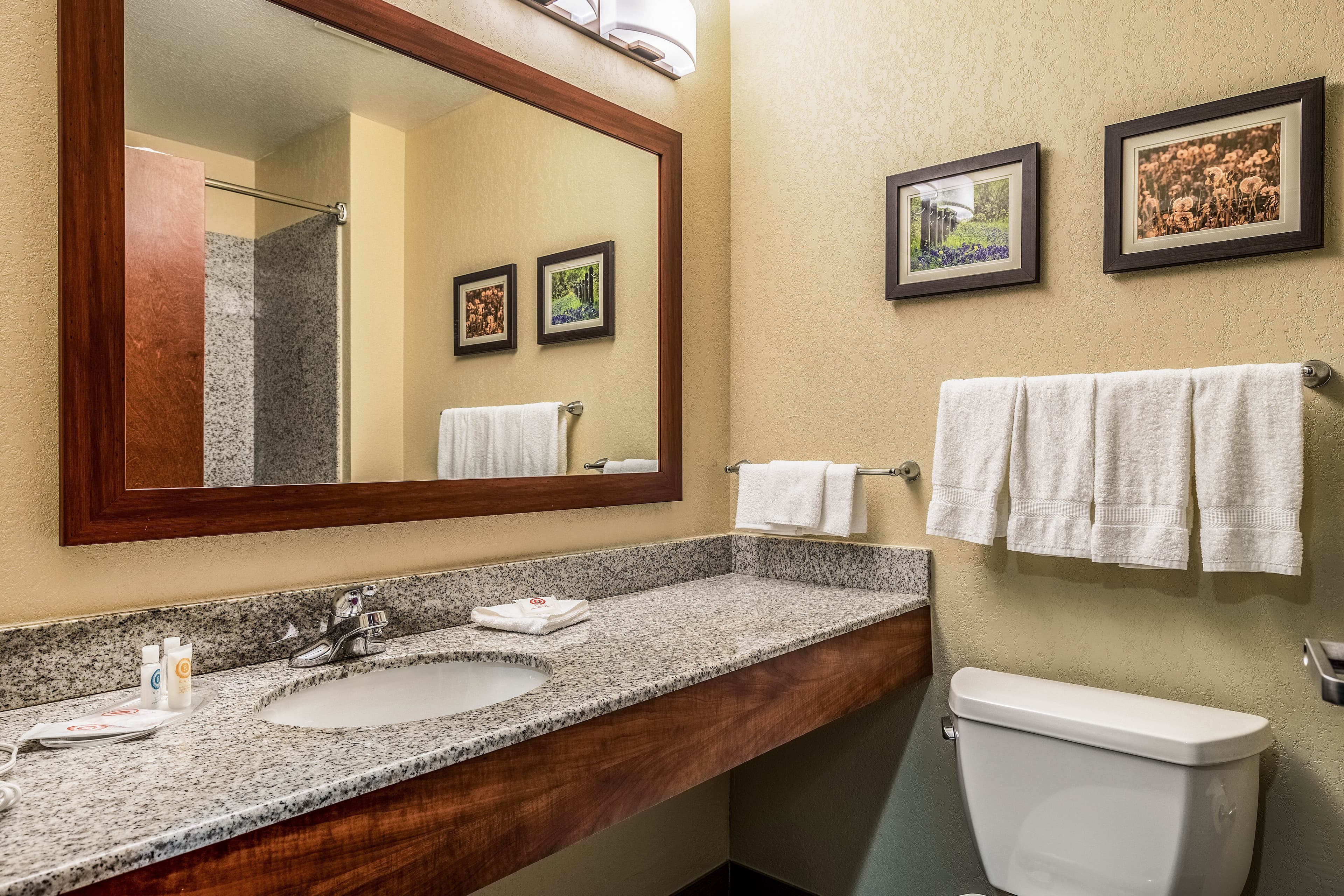 Comfort Suites Near Texas State University — 26