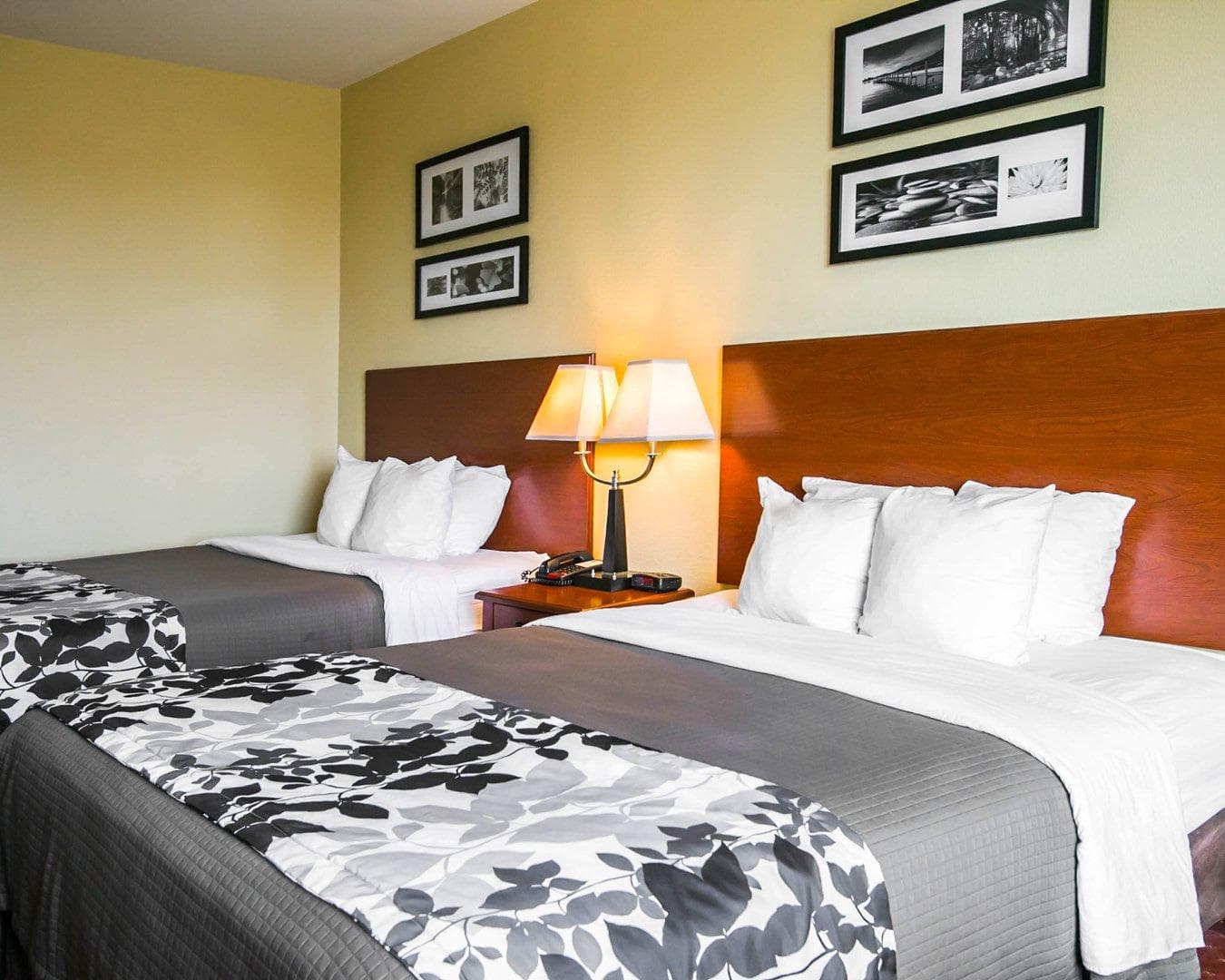 Sleep Inn & Suites New Braunfels - Image 4