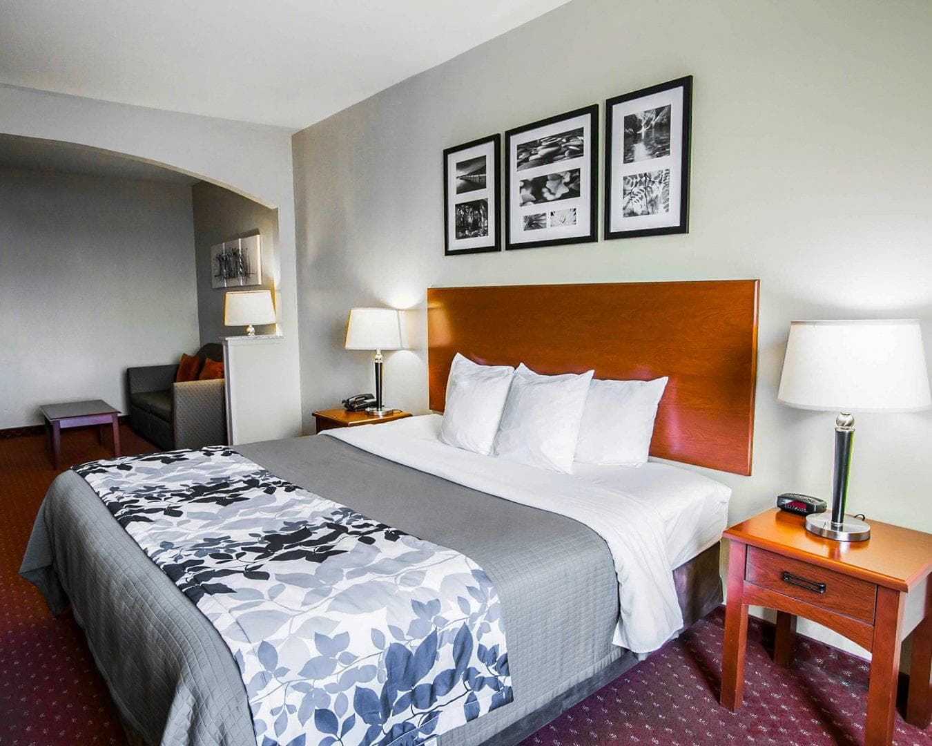 Sleep Inn & Suites New Braunfels — 9