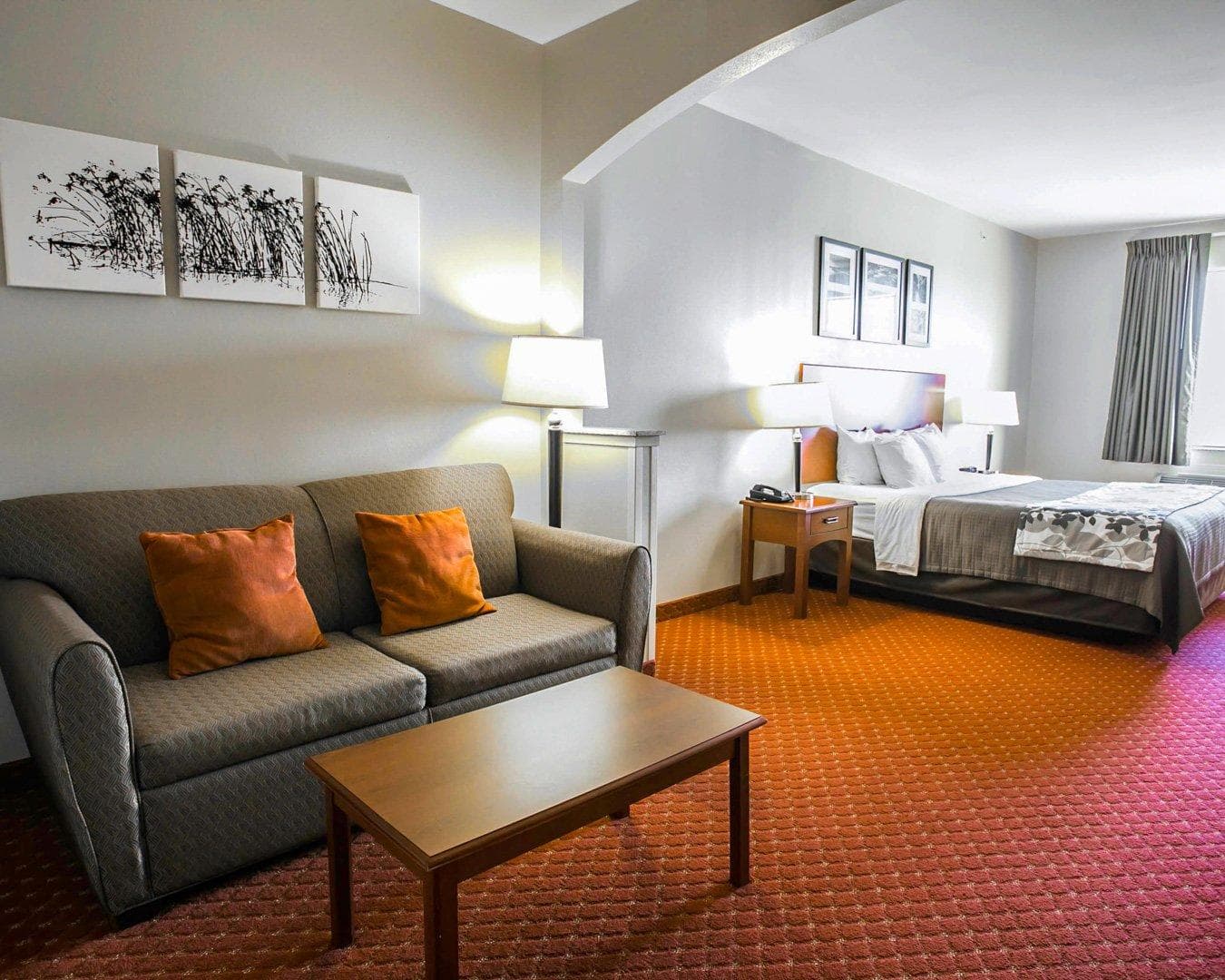 Sleep Inn & Suites New Braunfels — 10