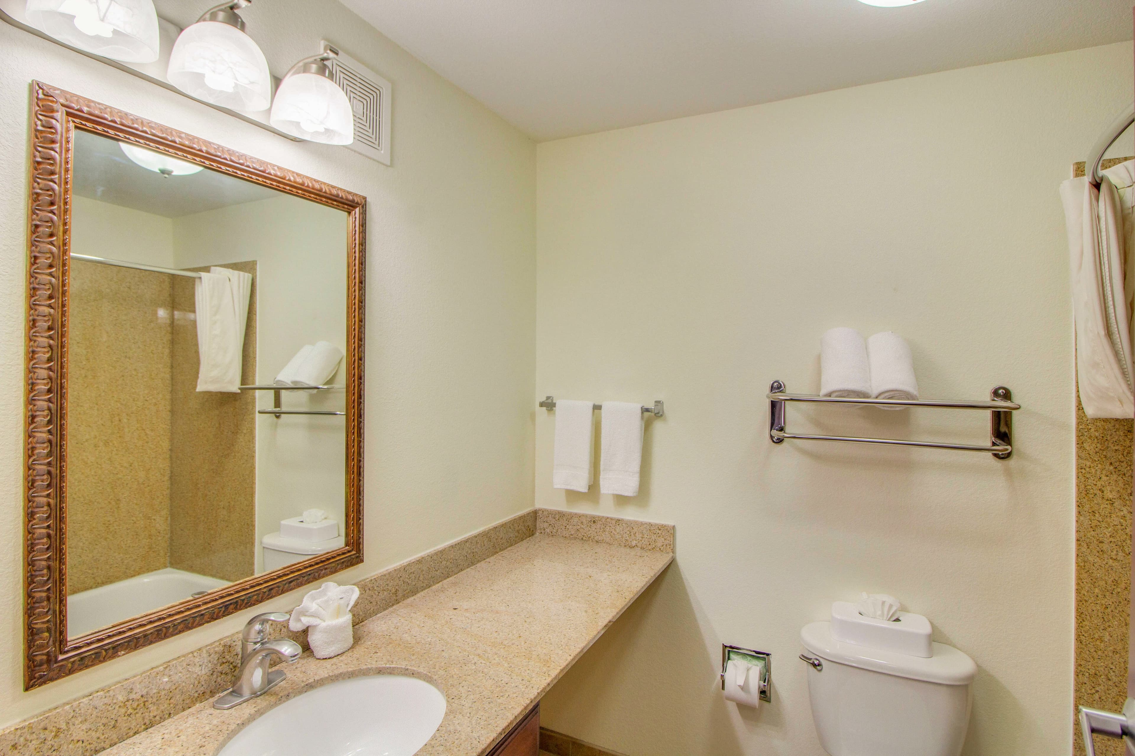 MainStay Suites Texas Medical Center/Reliant Park — 17
