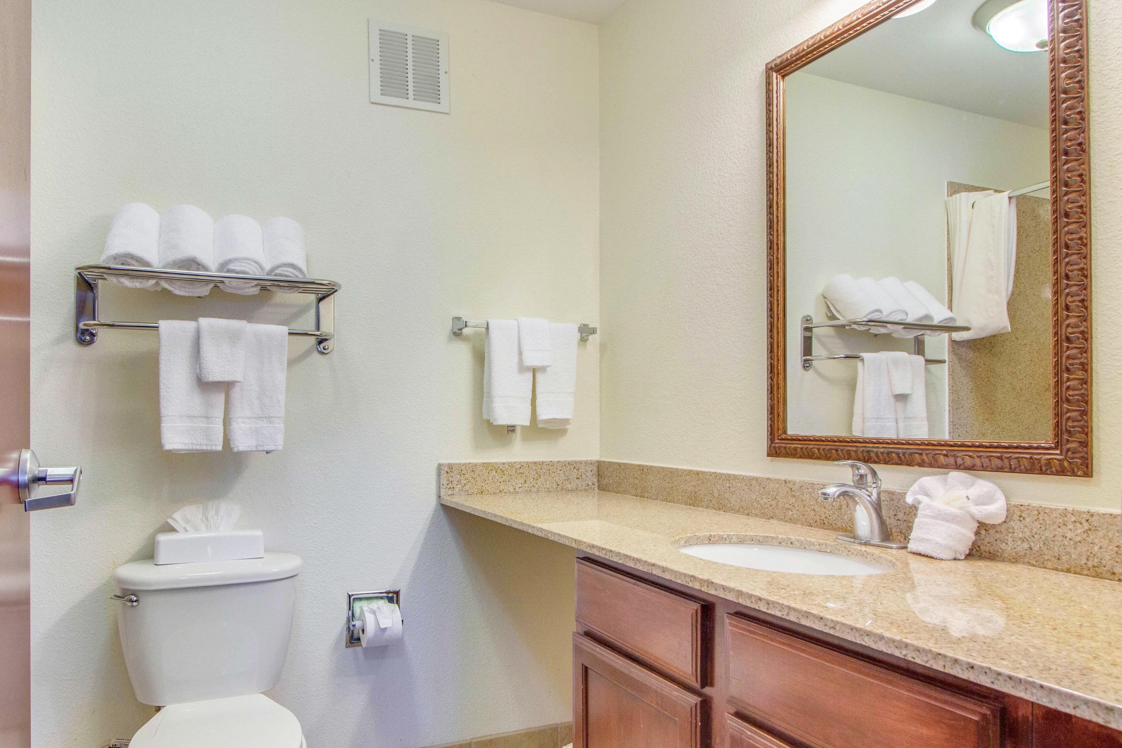 MainStay Suites Texas Medical Center/Reliant Park — 10