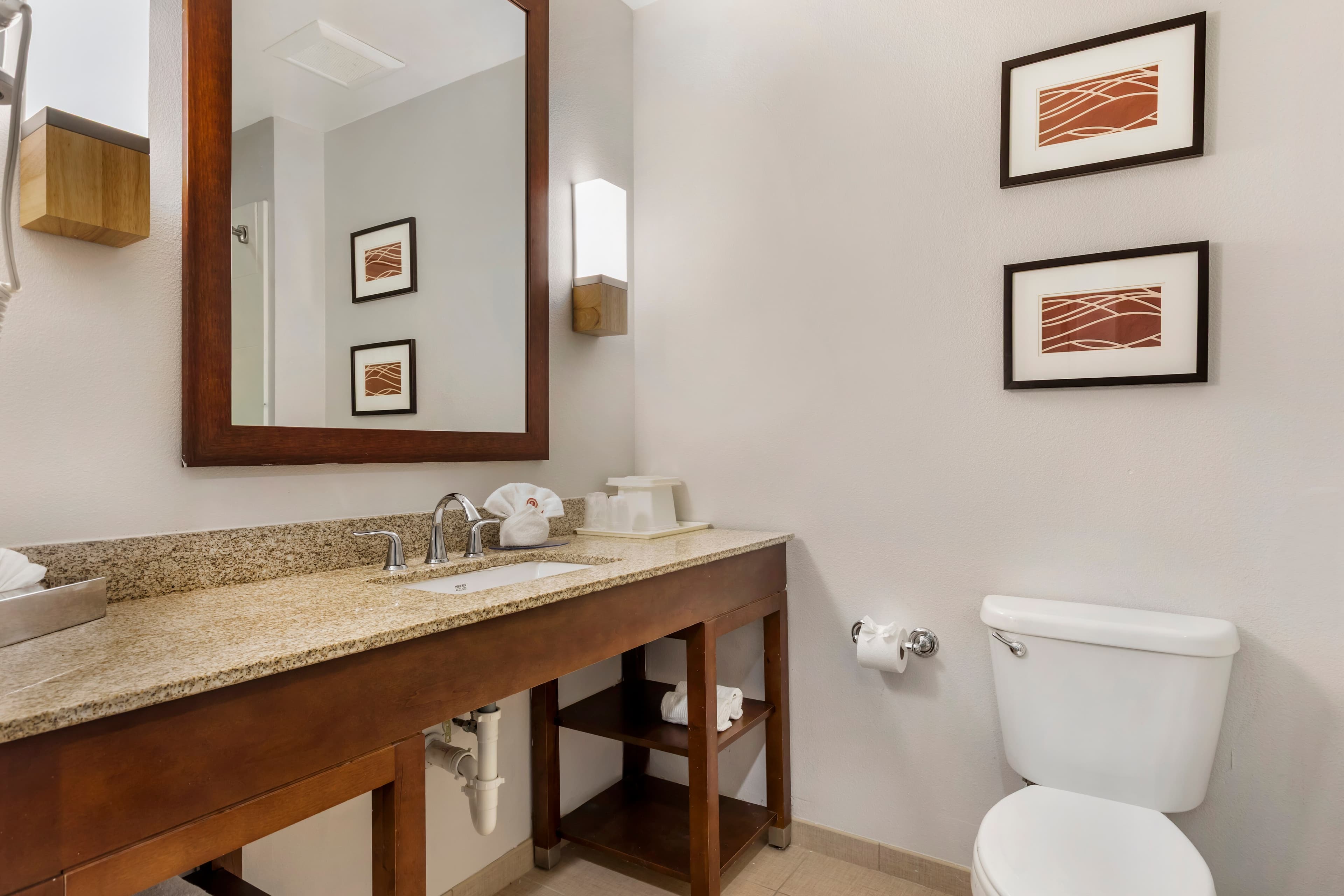 Comfort Inn & Suites Red Oak - Dallas Area — 27