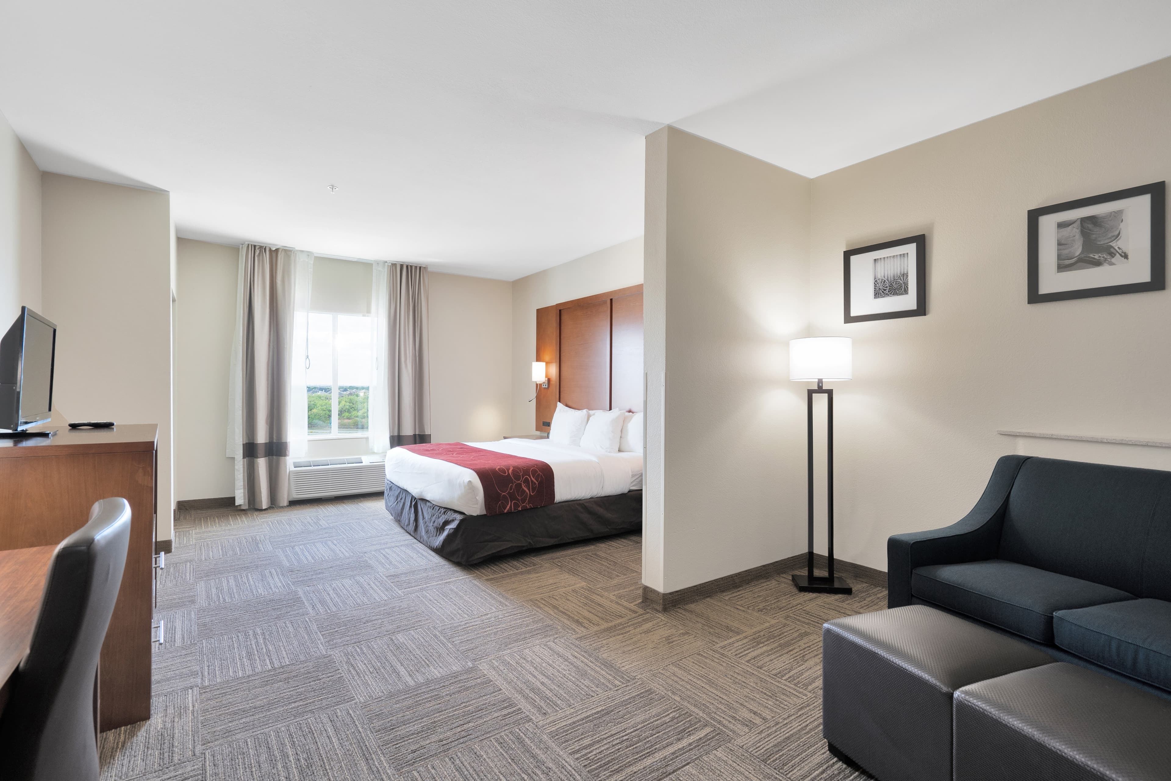 Comfort Suites University - Image 4