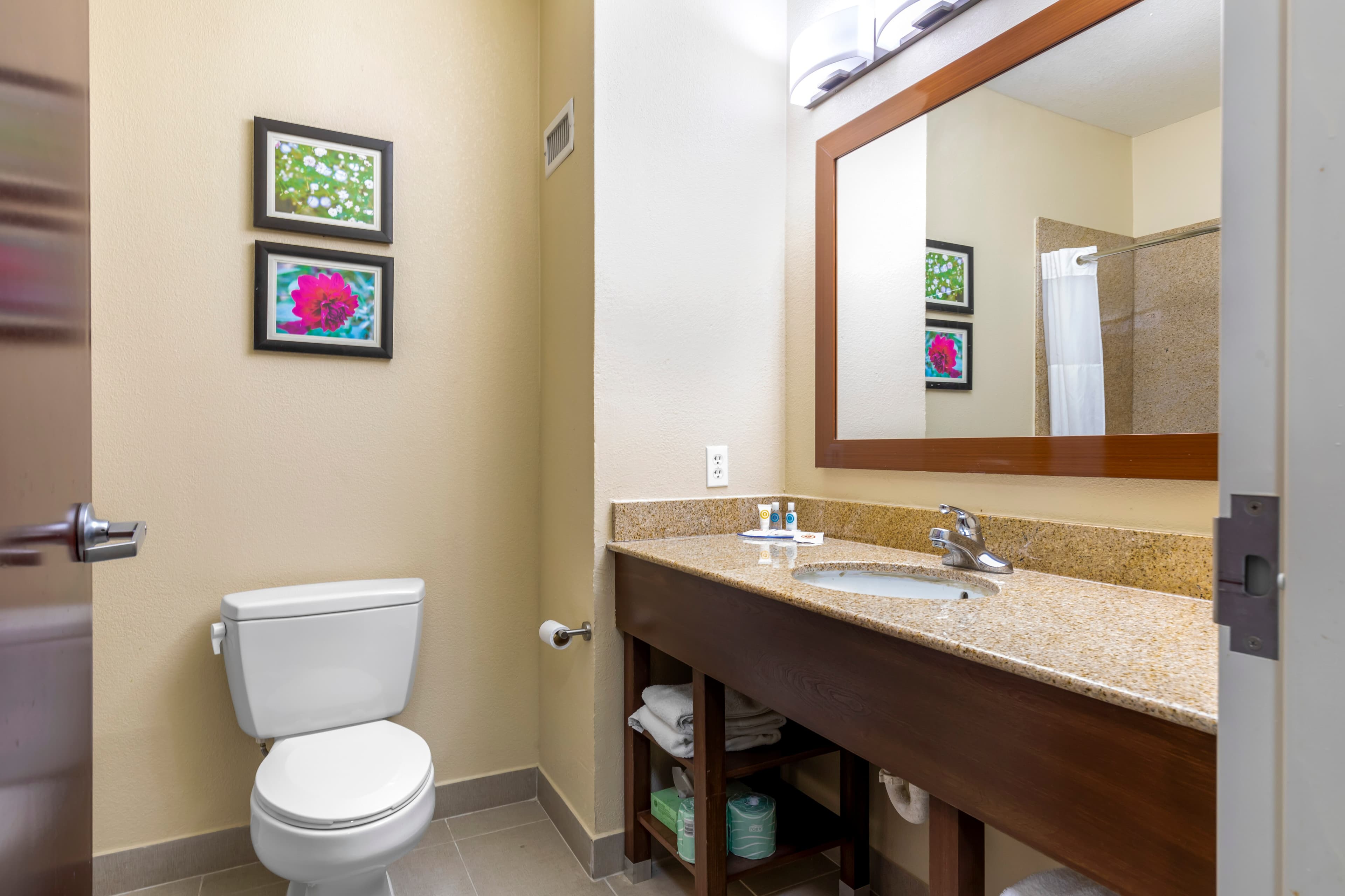 Comfort Suites Copperas Cove — 16