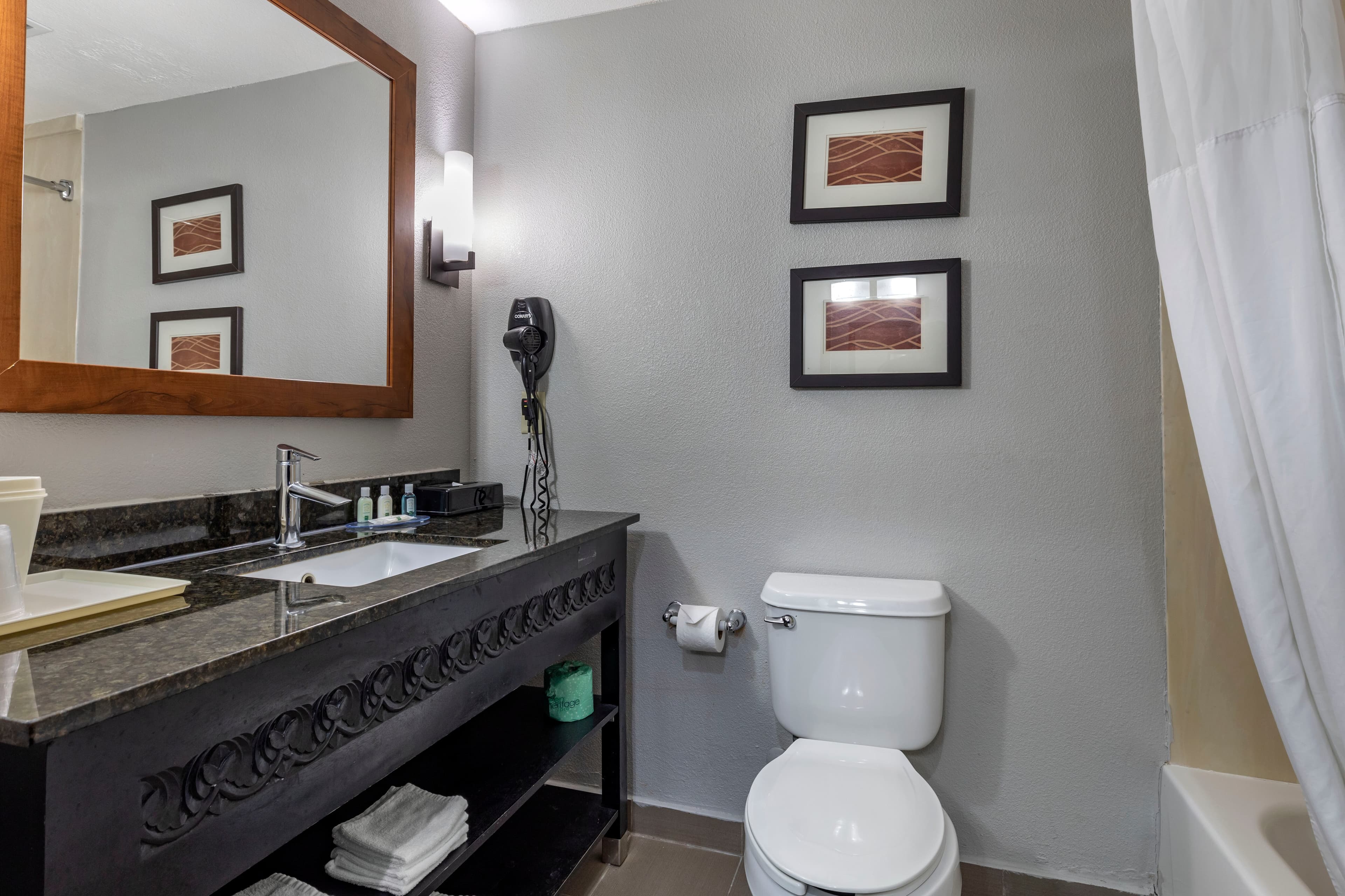 Quality Inn & Suites I-35 E/Walnut Hill - Image 3