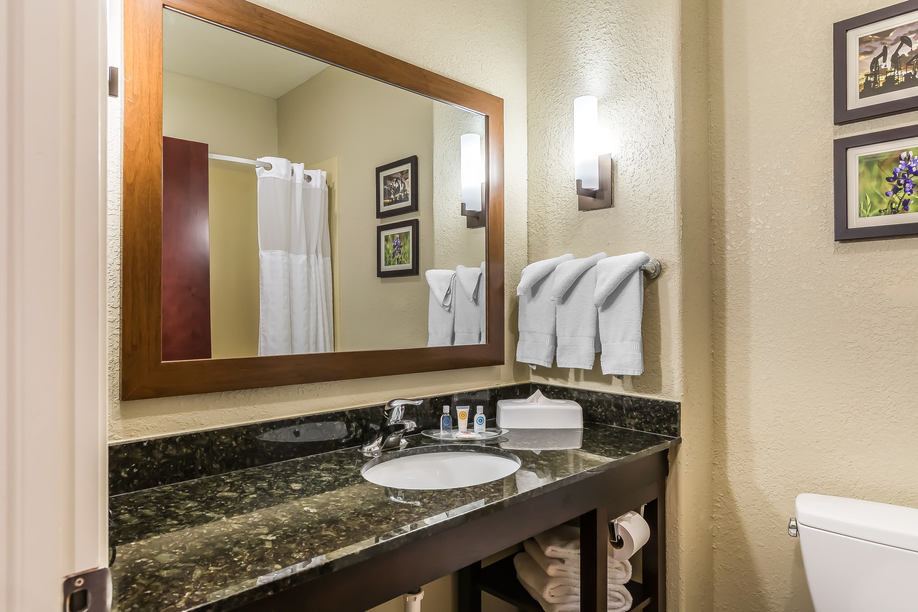 Comfort Suites Houston IAH Airport - Beltway 8 — 14