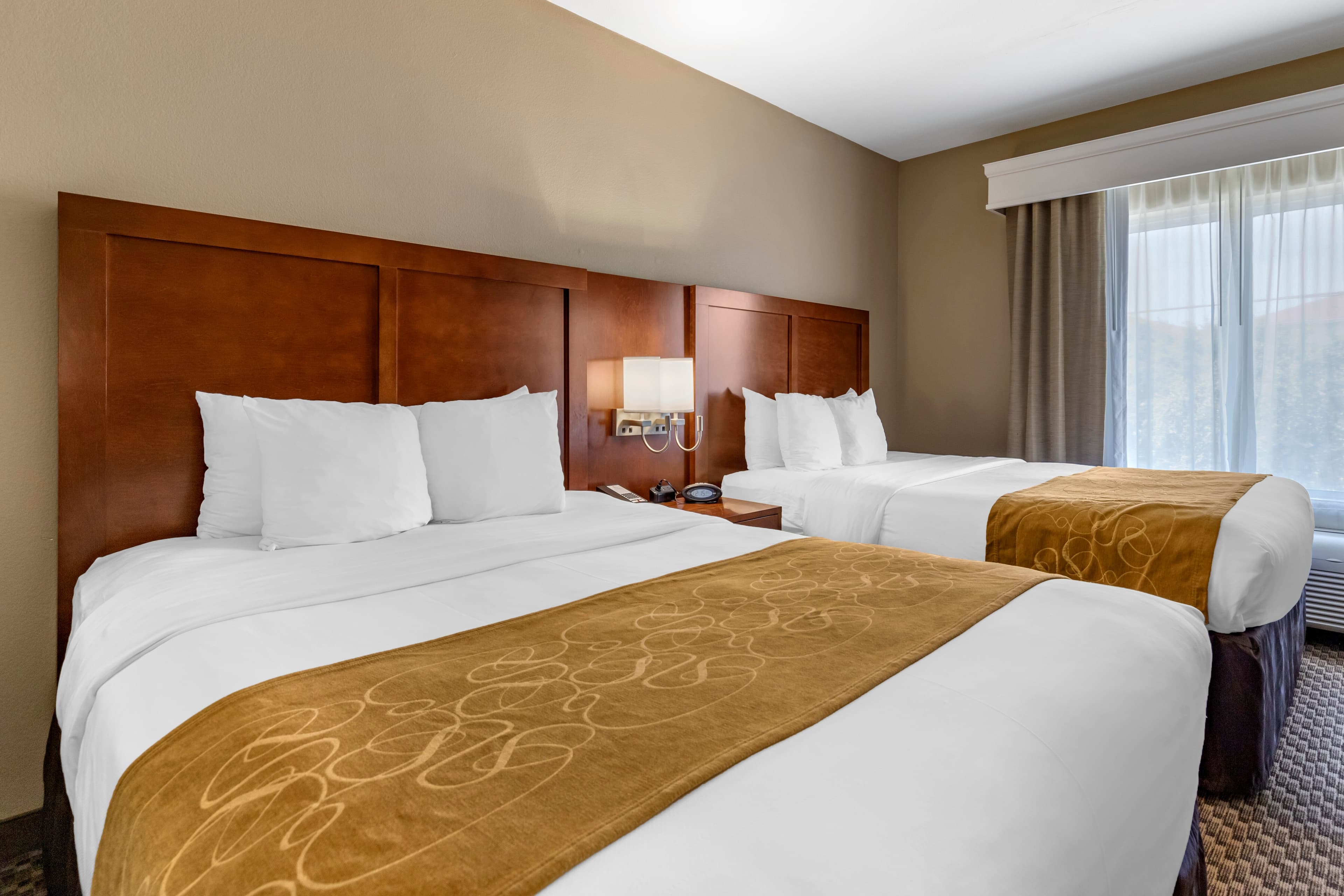 Comfort Suites Near Texas A&M - Corpus Christi — 7