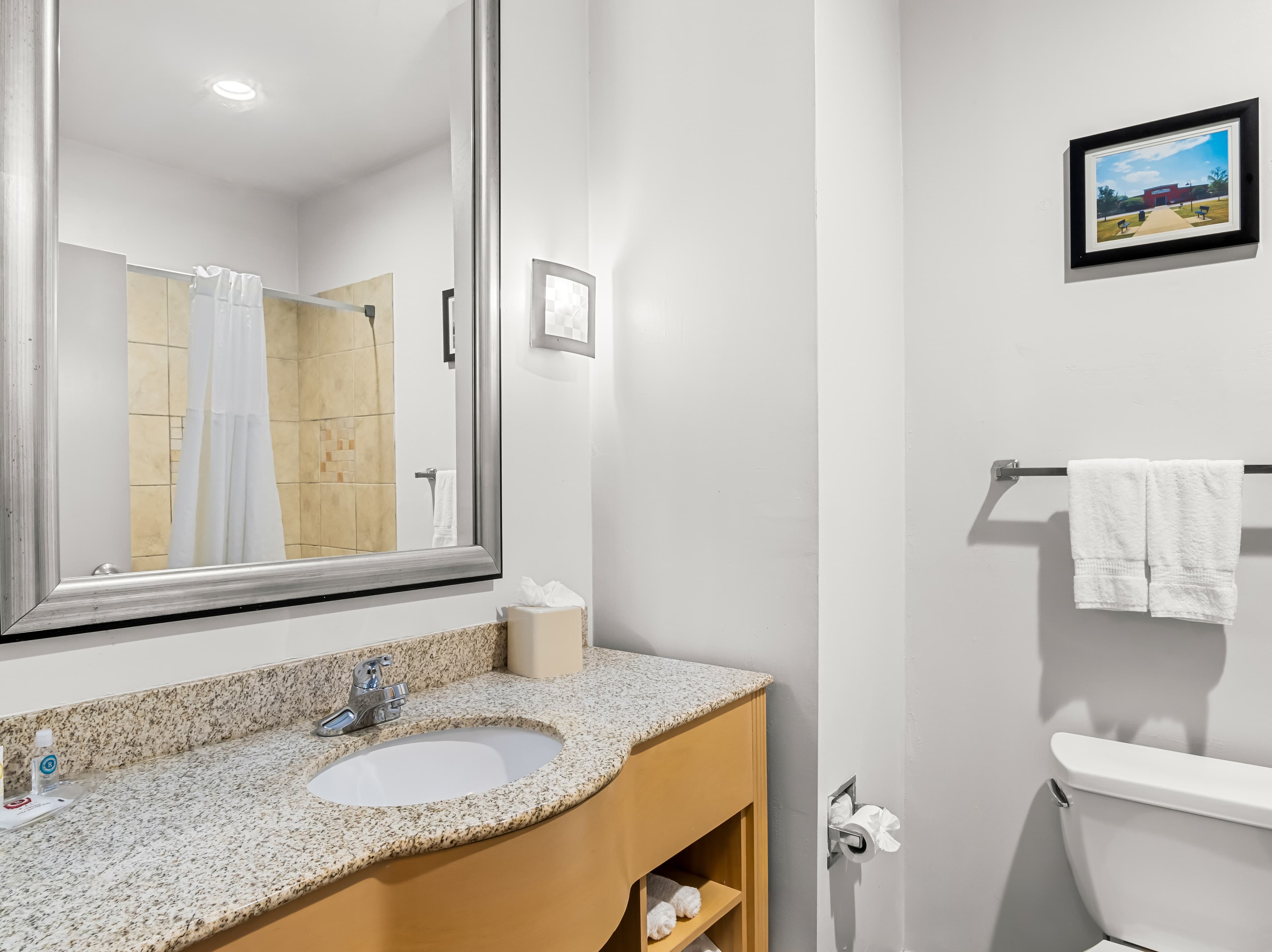 Comfort Suites Lindale - Tyler North — 17