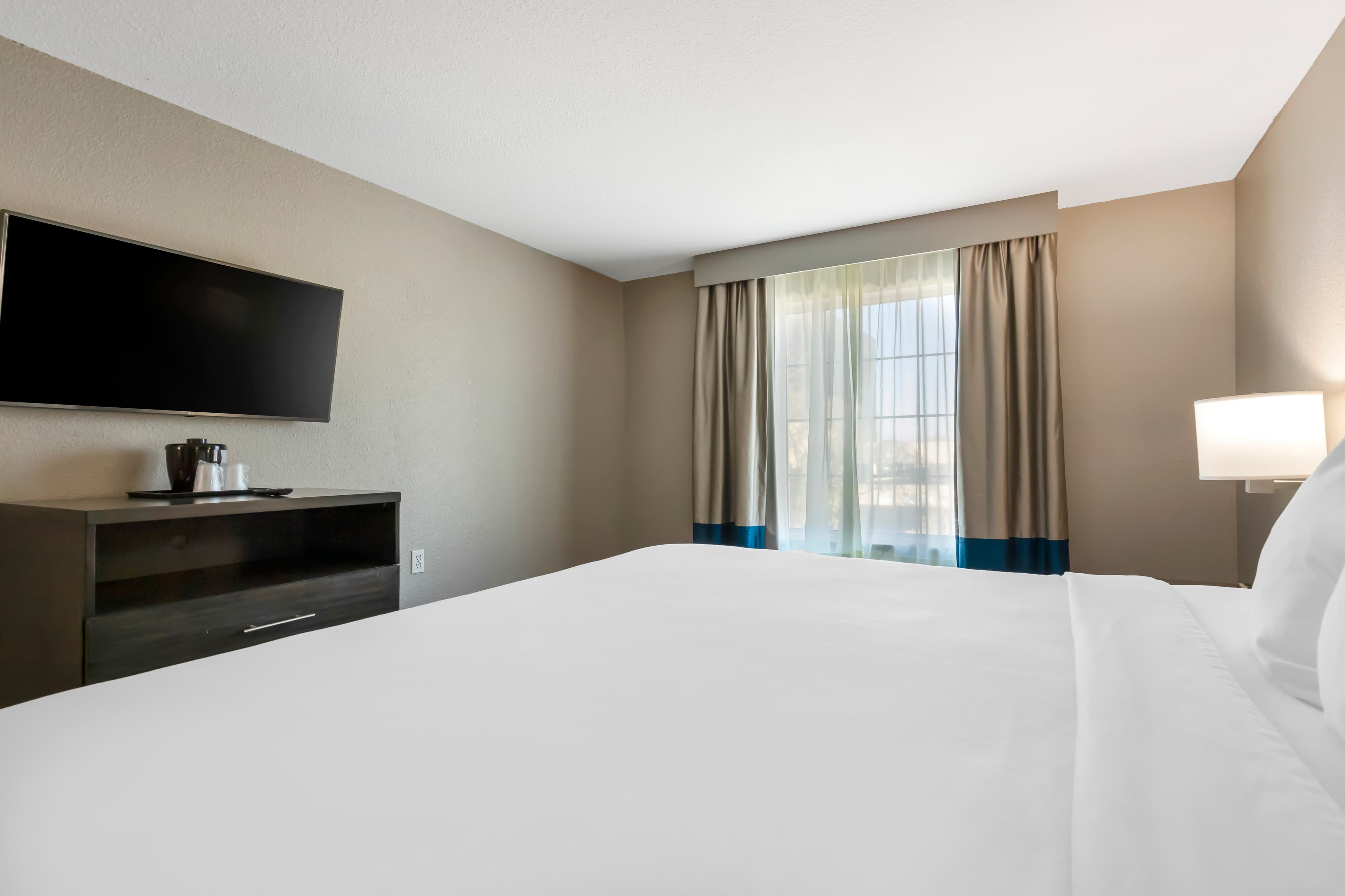 Comfort Inn & Suites Near Medical Center - Image 3