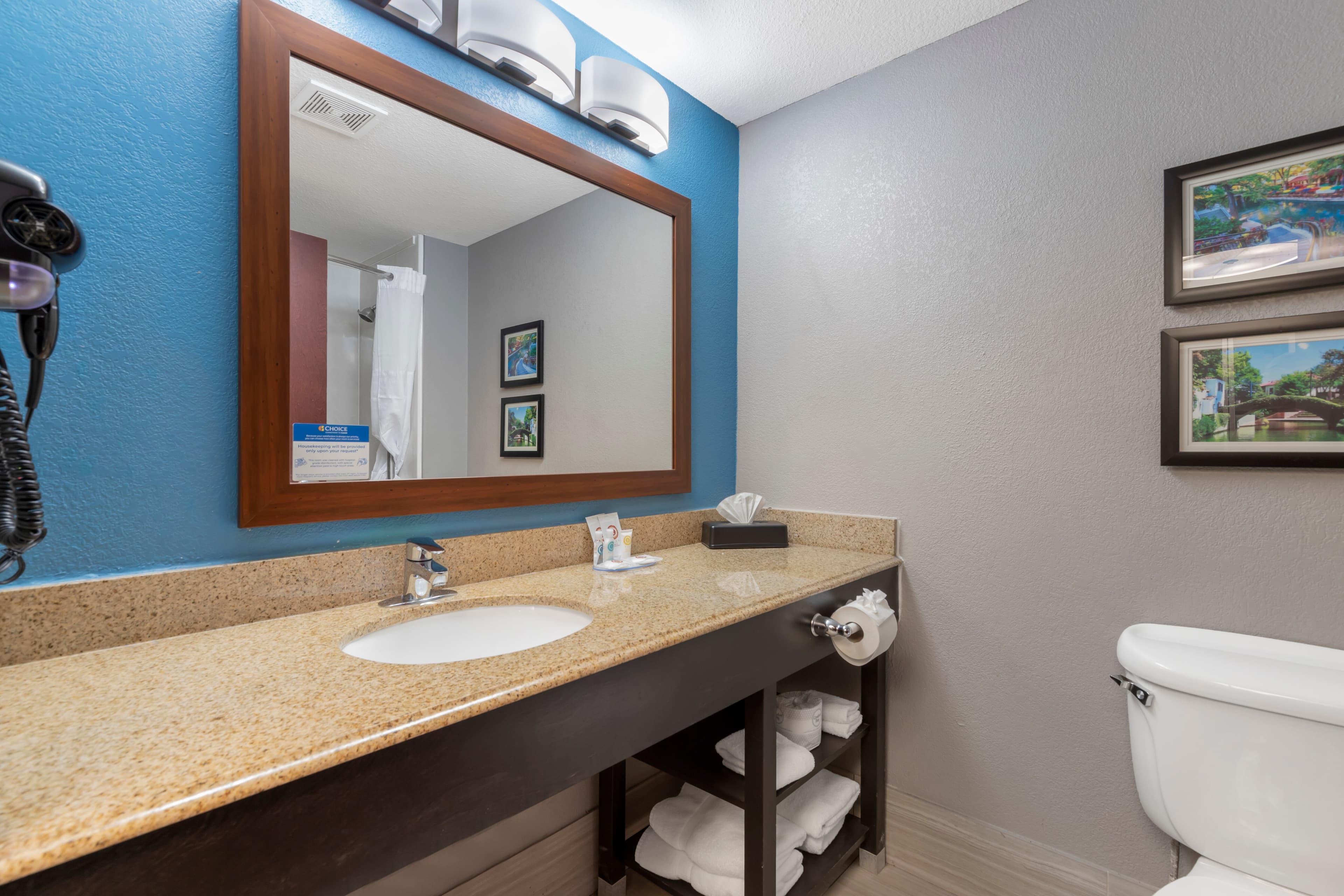 Comfort Inn & Suites Near Medical Center — 9