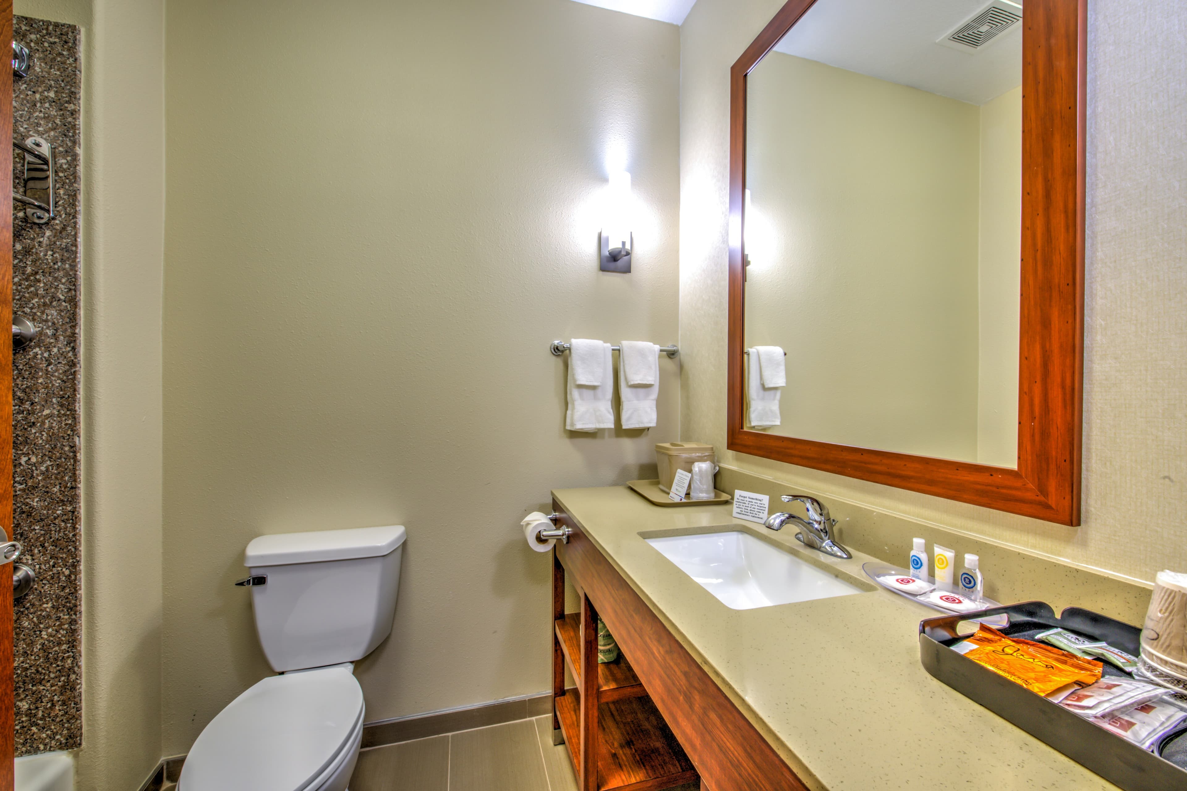Comfort Suites Tomball Medical Center — 8