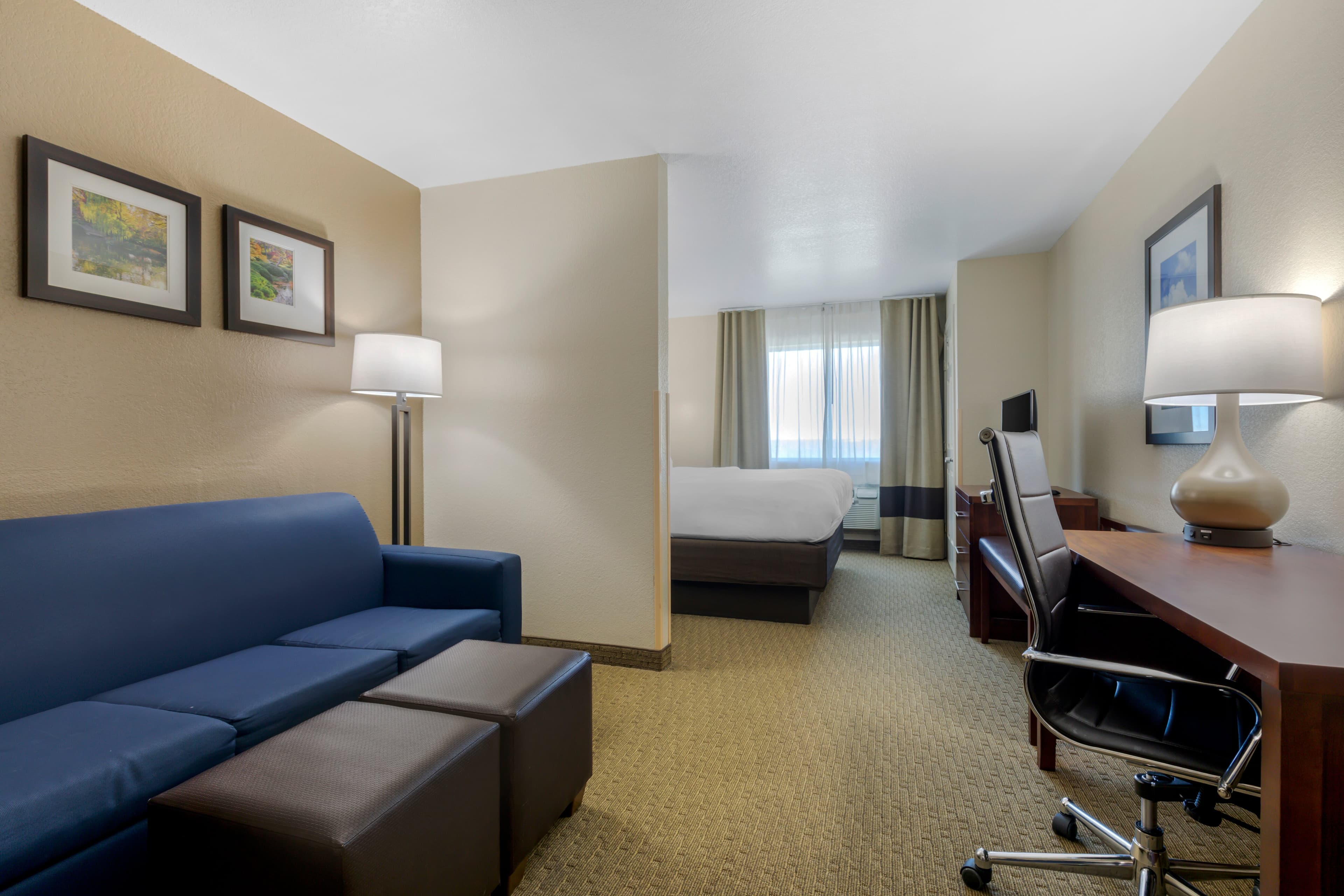 Comfort Suites Benbrook - Fort Worth Southwest - Image 5