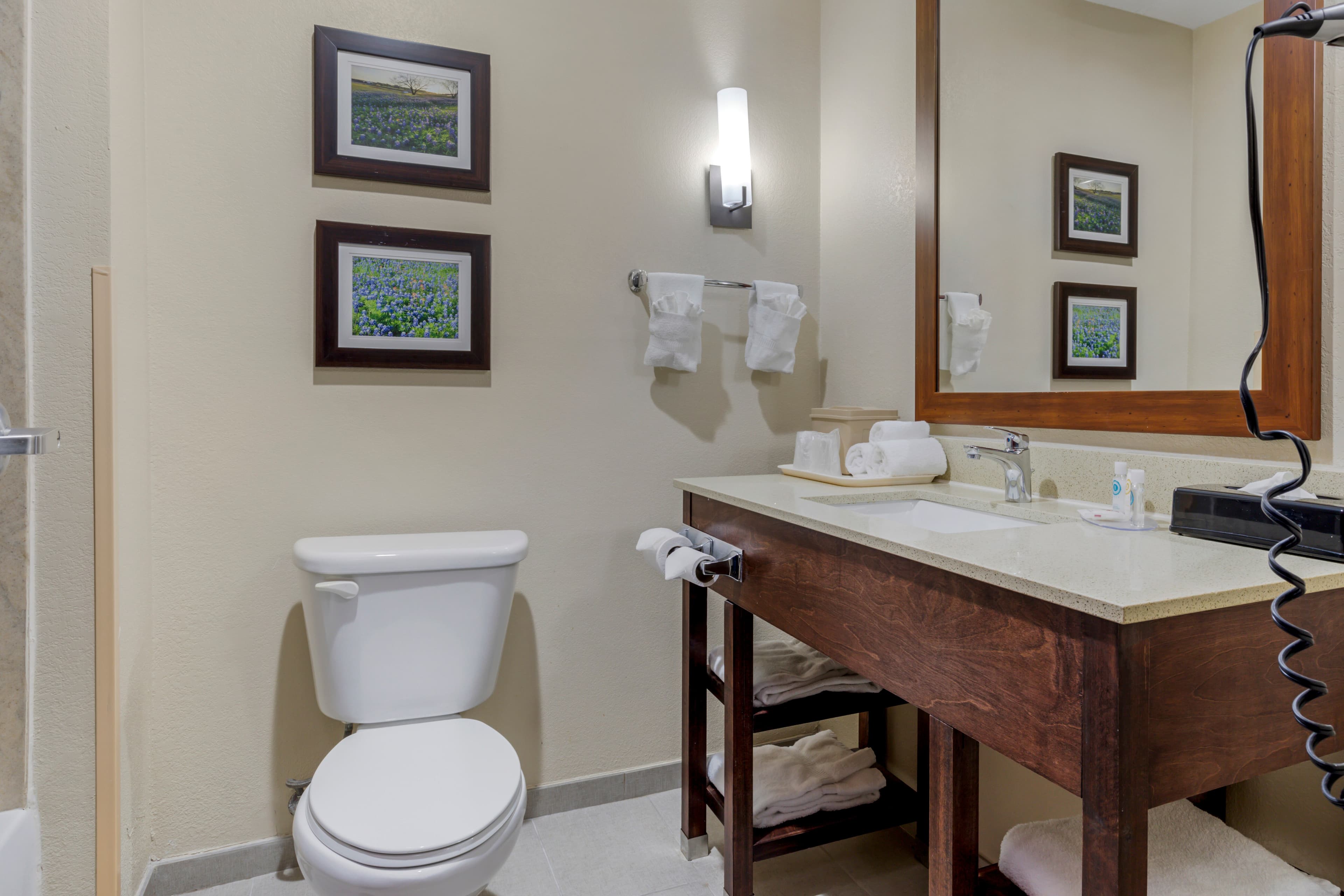 Comfort Suites Benbrook - Fort Worth Southwest — 18