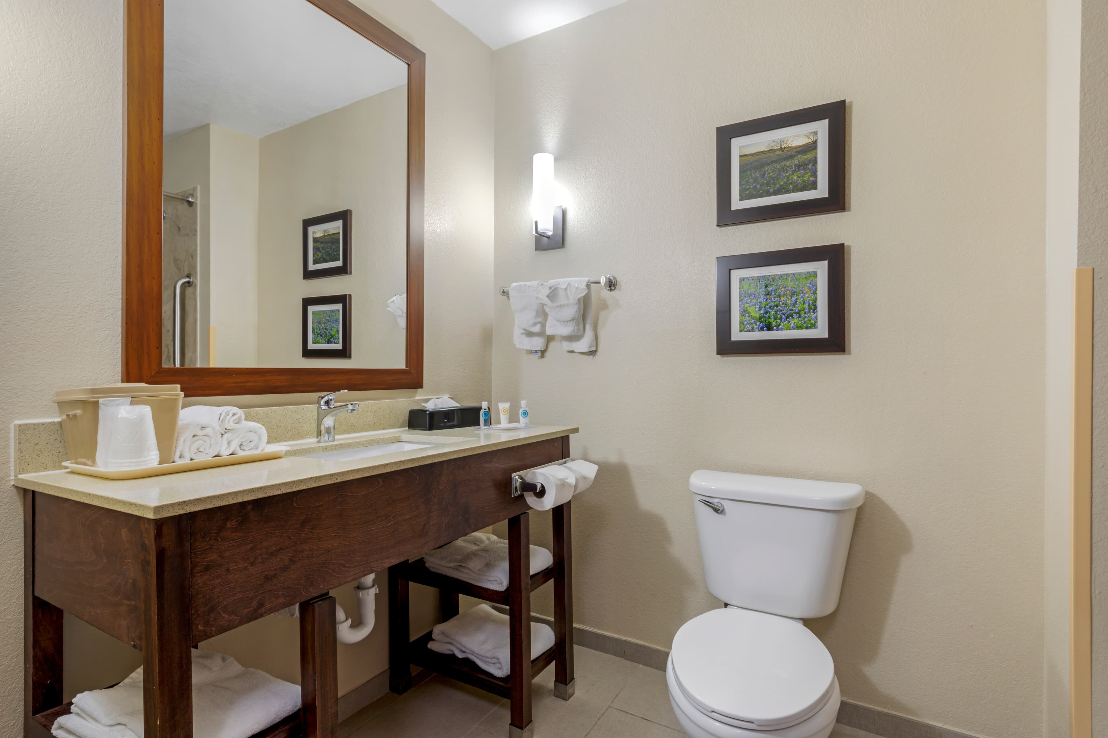 Comfort Suites Benbrook - Fort Worth Southwest — 10