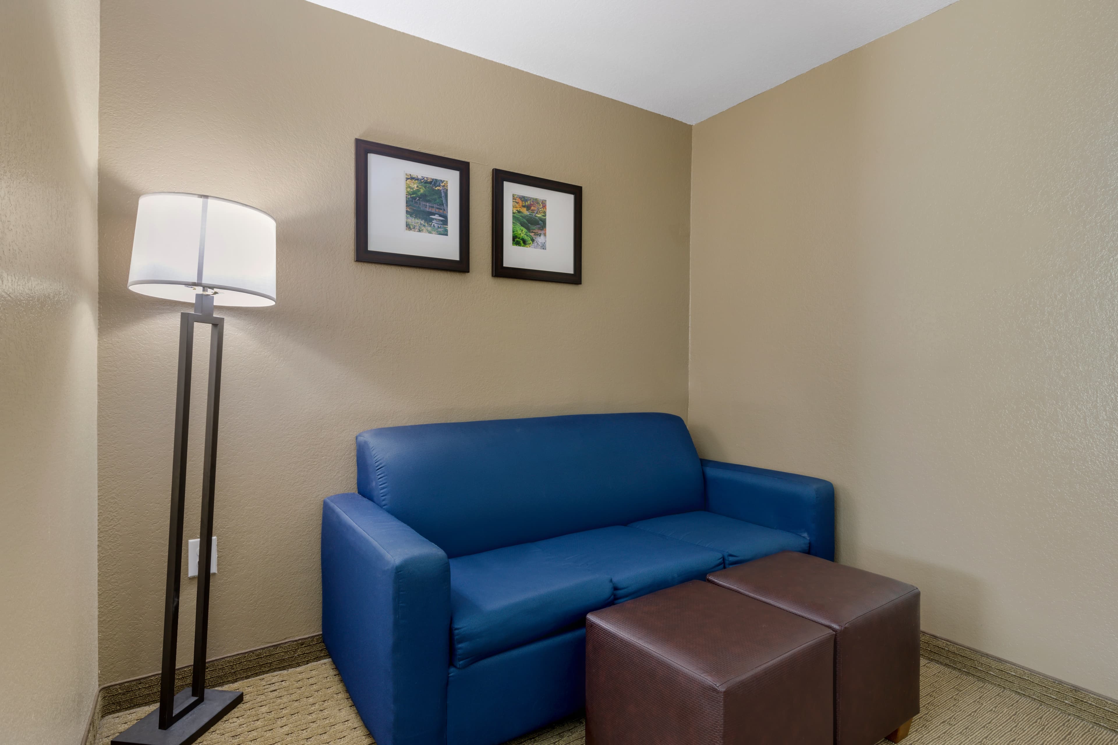 Comfort Suites Benbrook - Fort Worth Southwest — 20