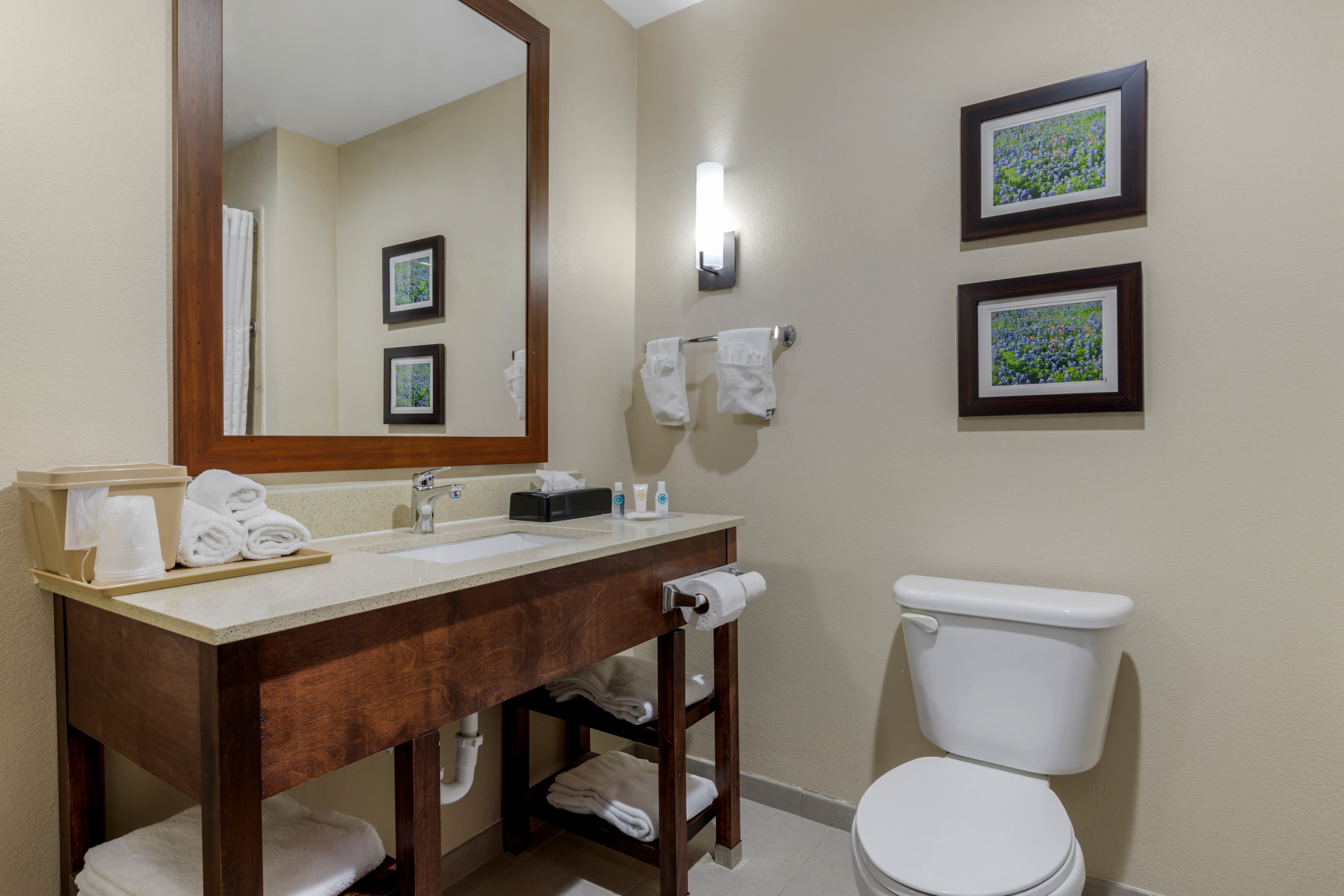 Comfort Suites Benbrook - Fort Worth Southwest — 22