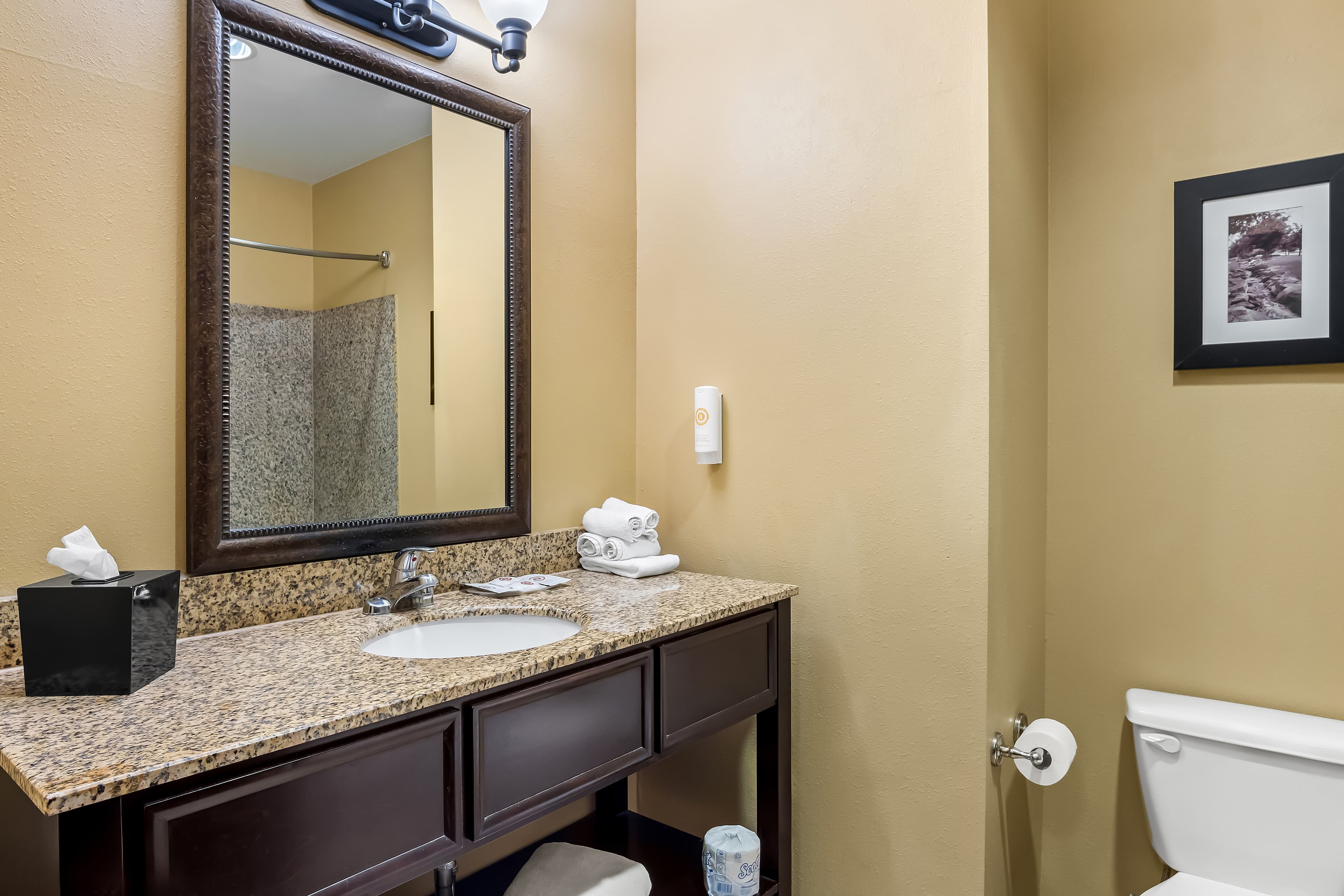 Comfort Suites Frisco — 15