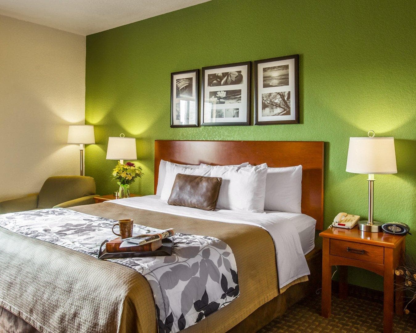 Sleep Inn & Suites Gonzales near Palmetto State Park - Image 1