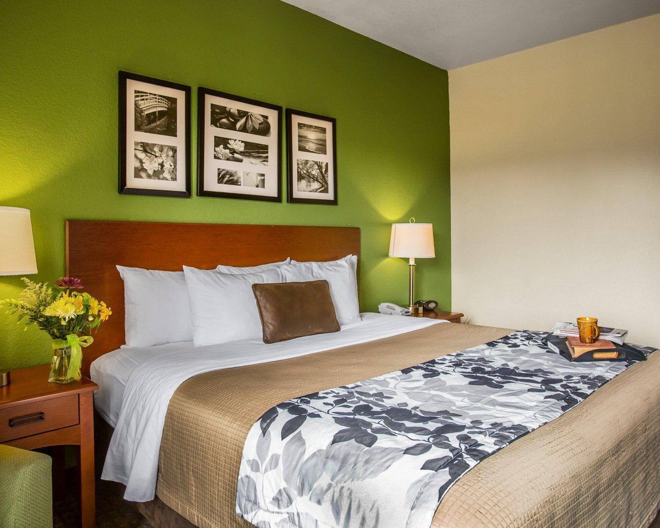 Sleep Inn & Suites Gonzales near Palmetto State Park — 6