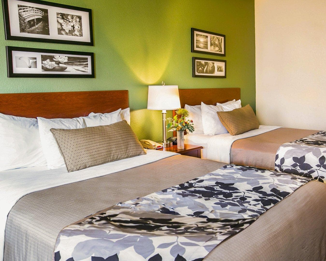 Sleep Inn & Suites Gonzales near Palmetto State Park - Image 3