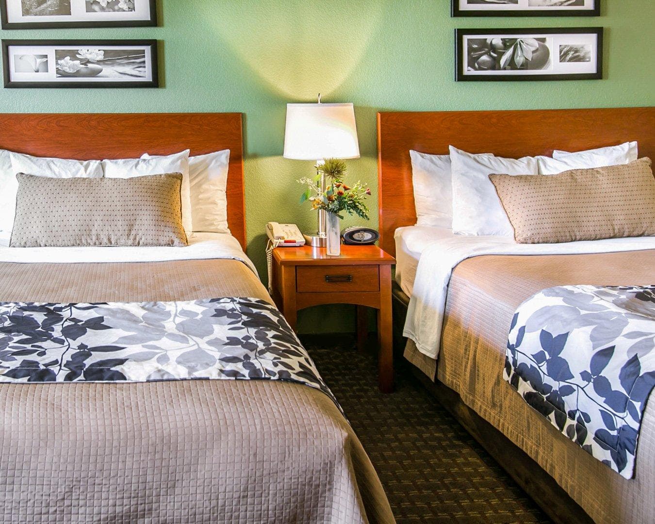 Sleep Inn & Suites Gonzales near Palmetto State Park - Image 4
