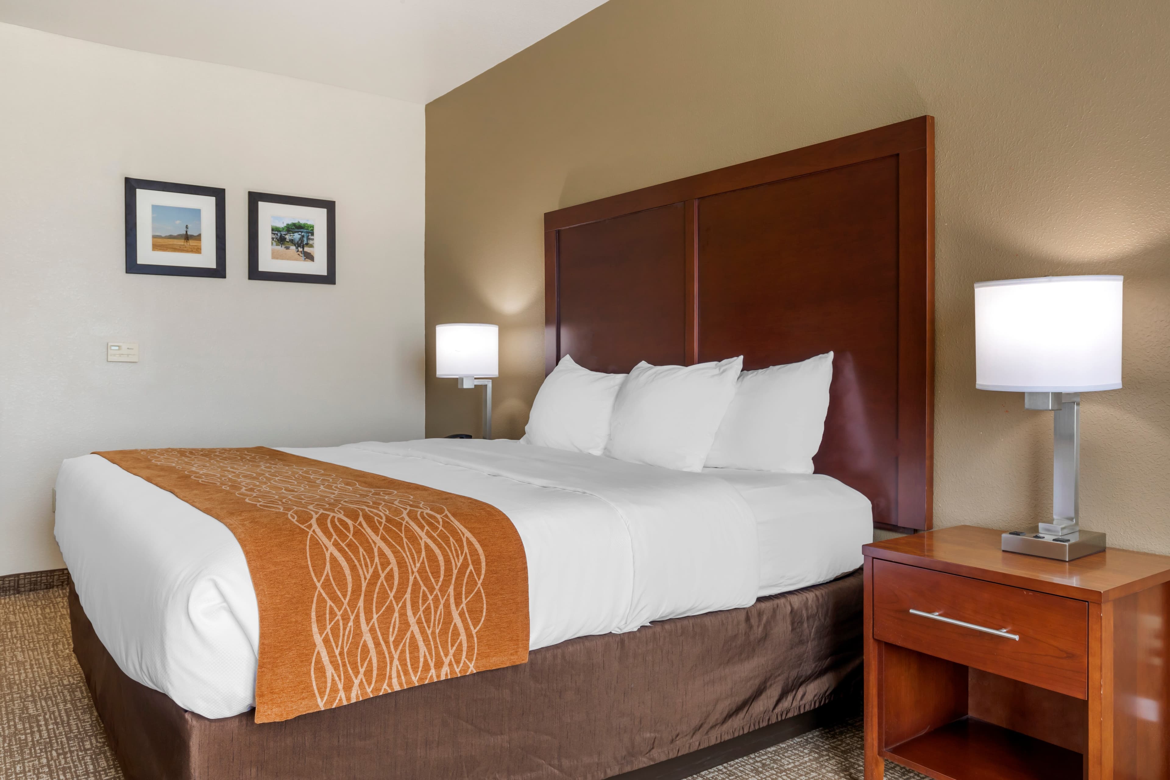Comfort Inn Near UNT — 32