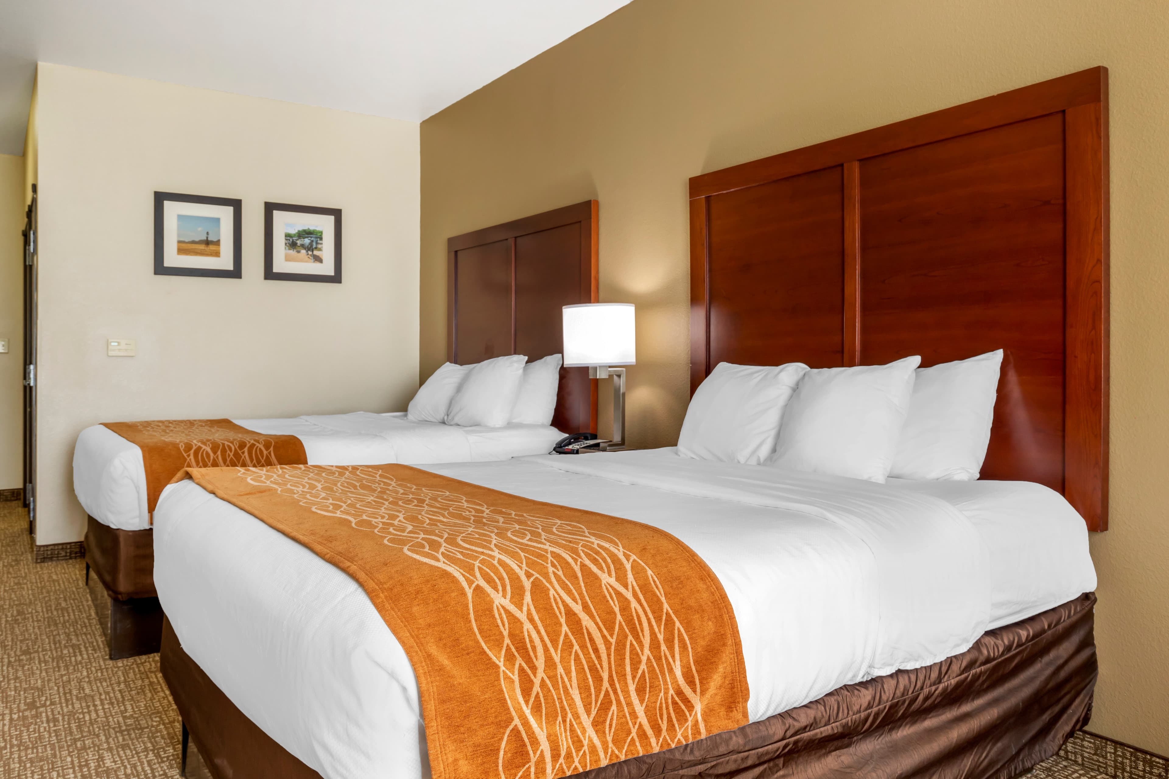 Comfort Inn Near UNT — 15
