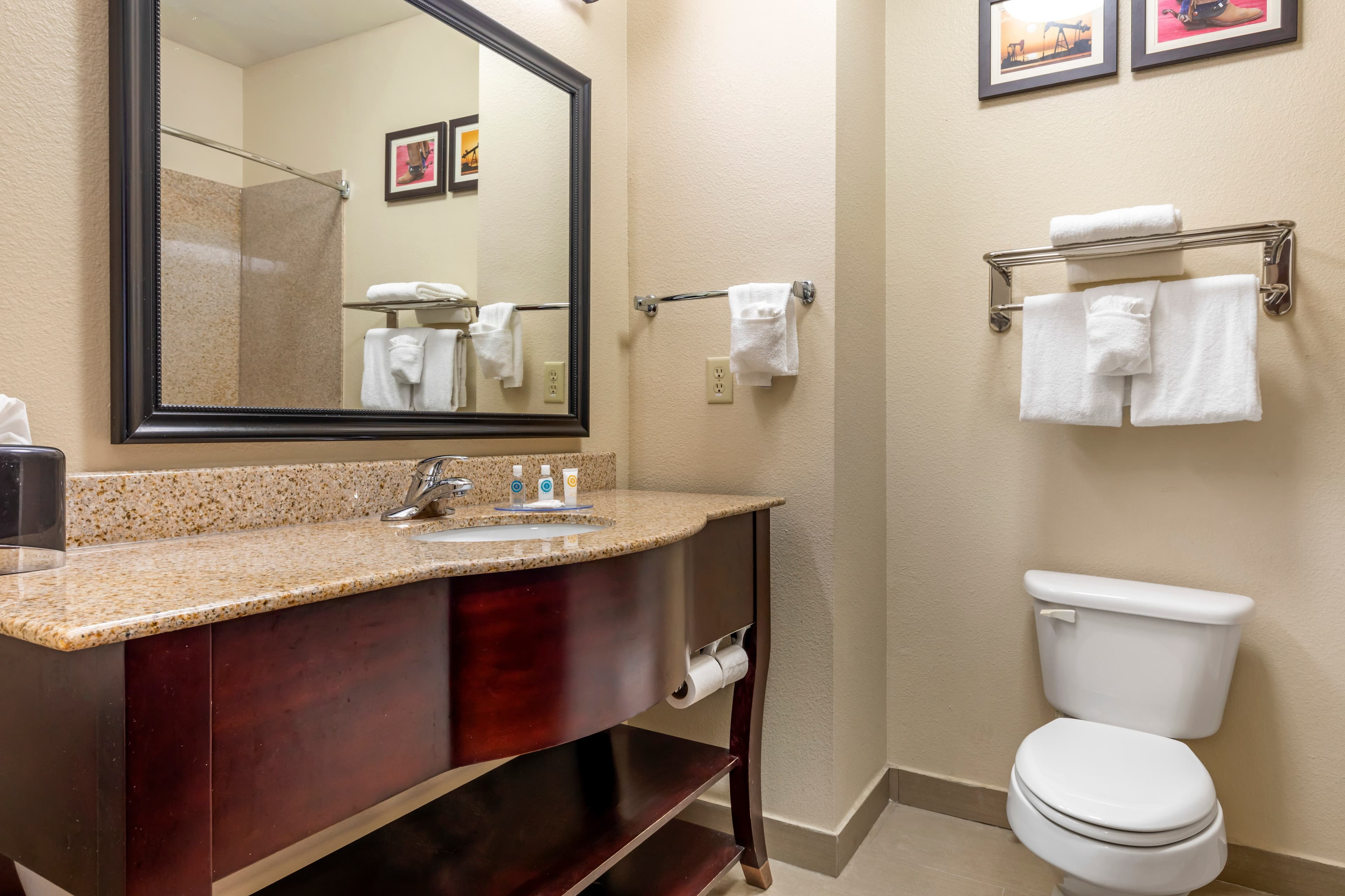 Comfort Inn Near UNT — 51