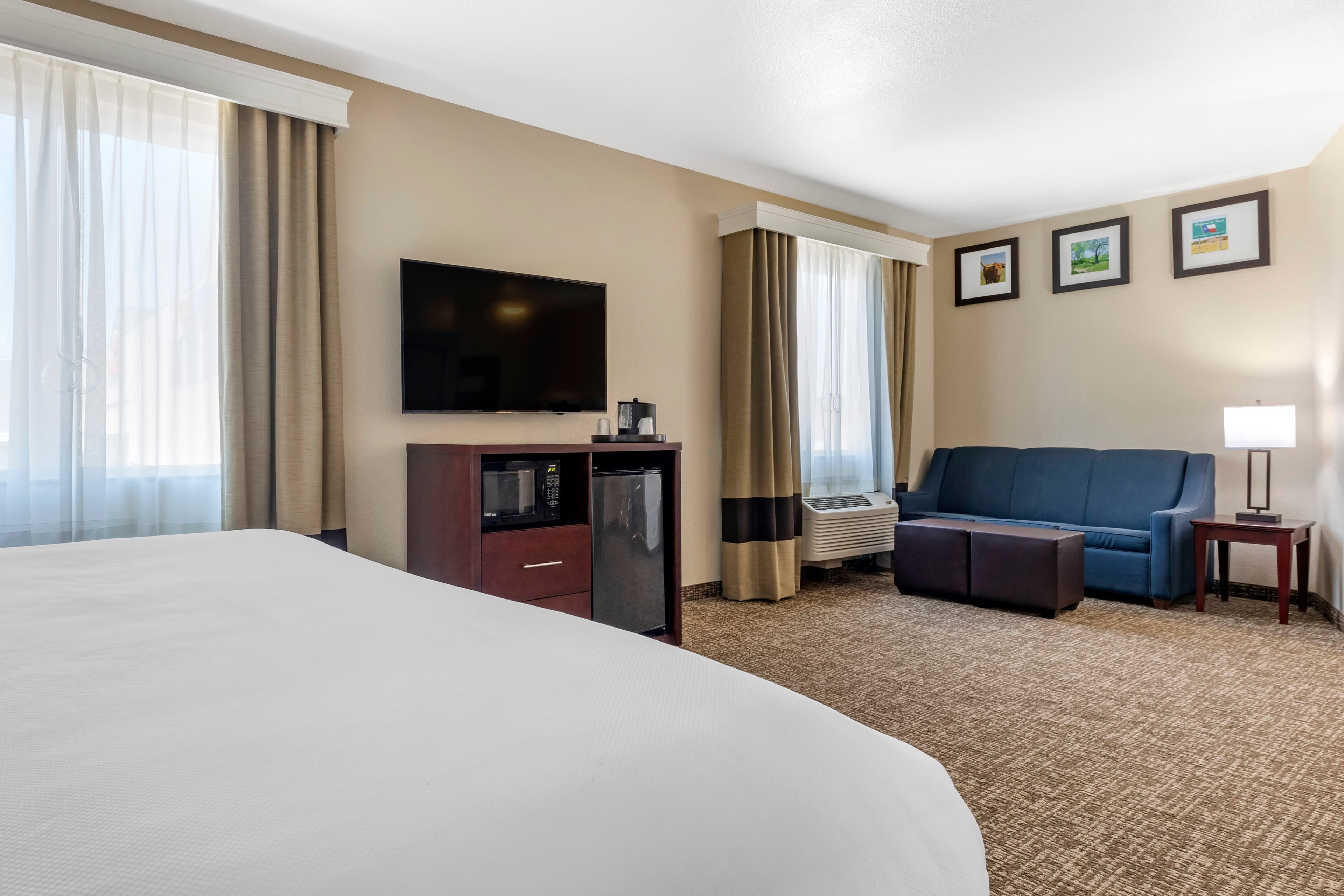 Comfort Suites Plano - Dallas North - Image 3