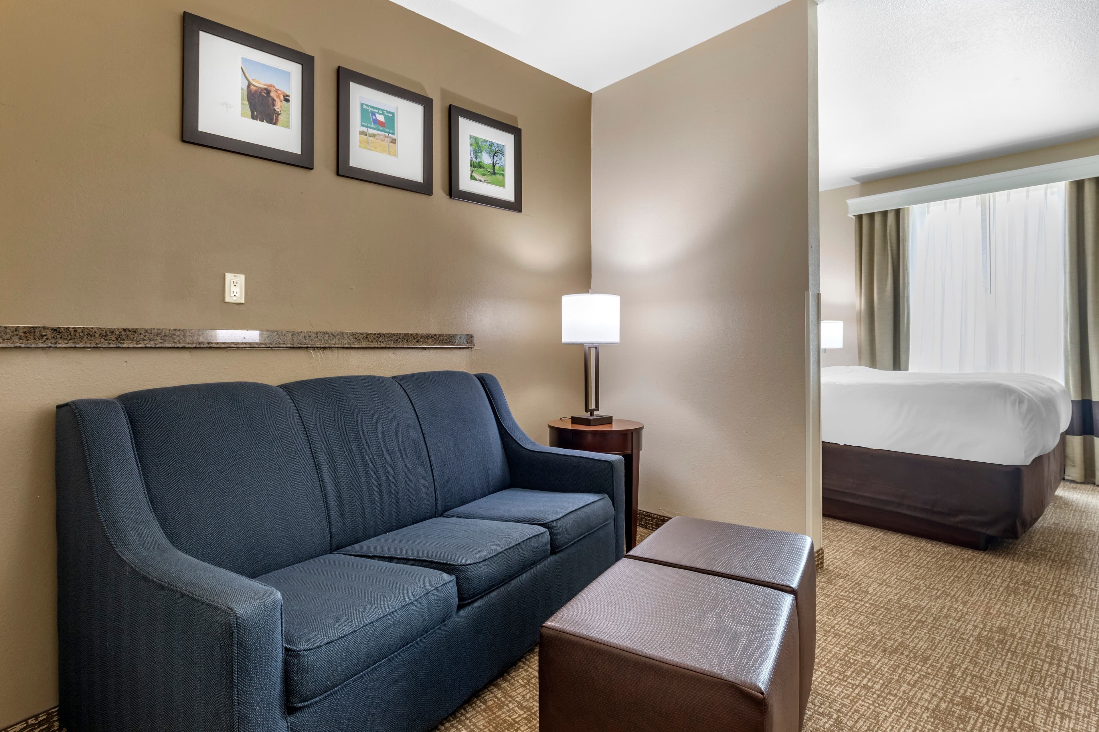 Comfort Suites Plano - Dallas North — 18