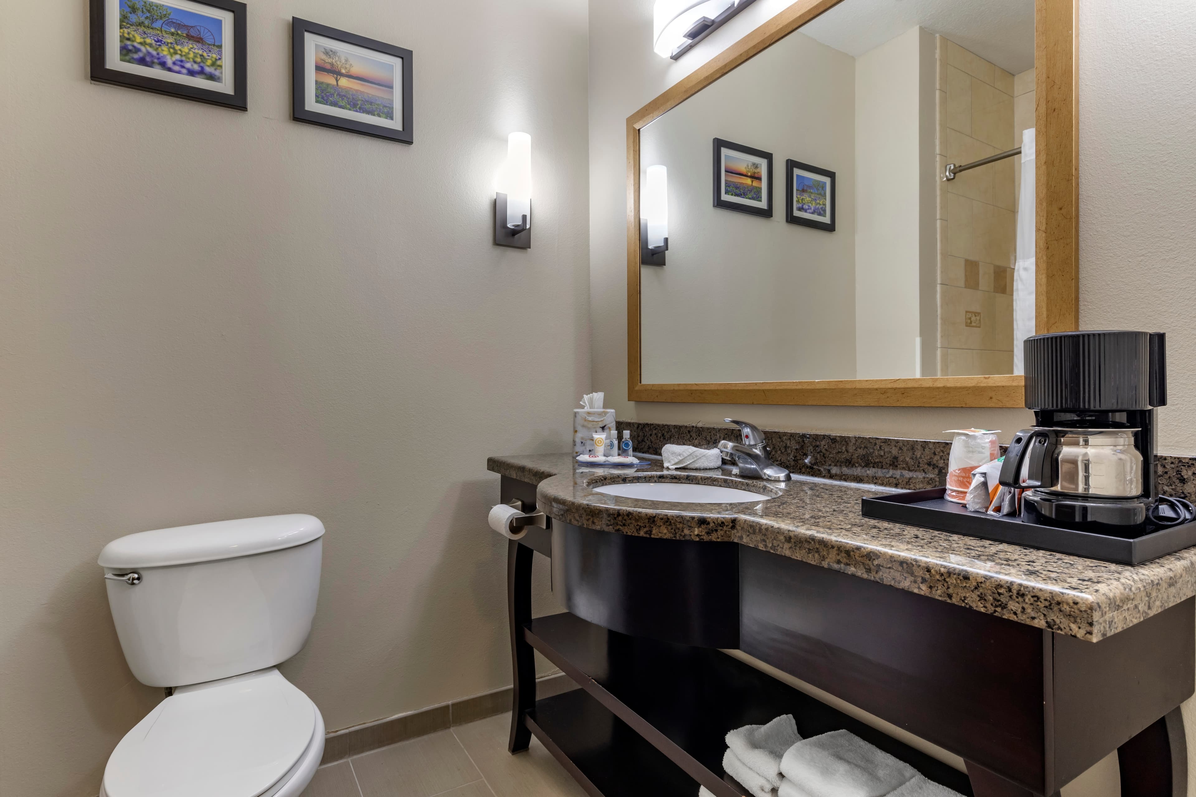 Comfort Suites Plano - Dallas North — 19