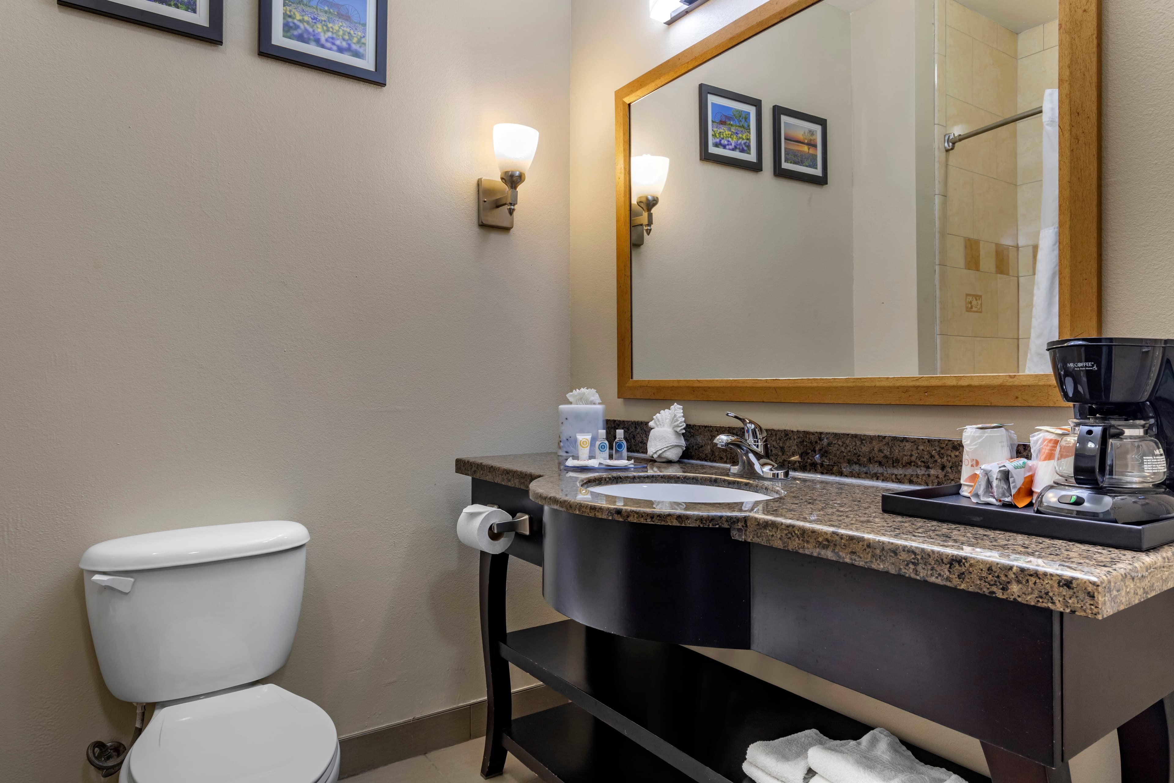 Comfort Suites Plano - Dallas North — 24