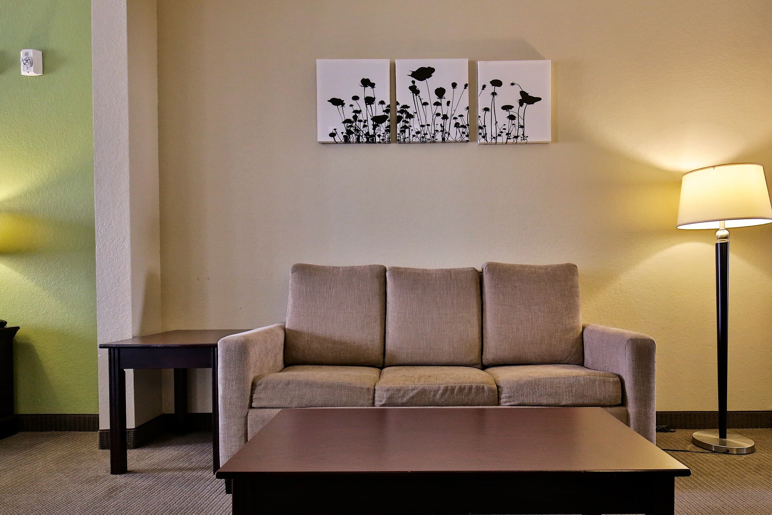 Sleep Inn & Suites Abilene Near University — 23