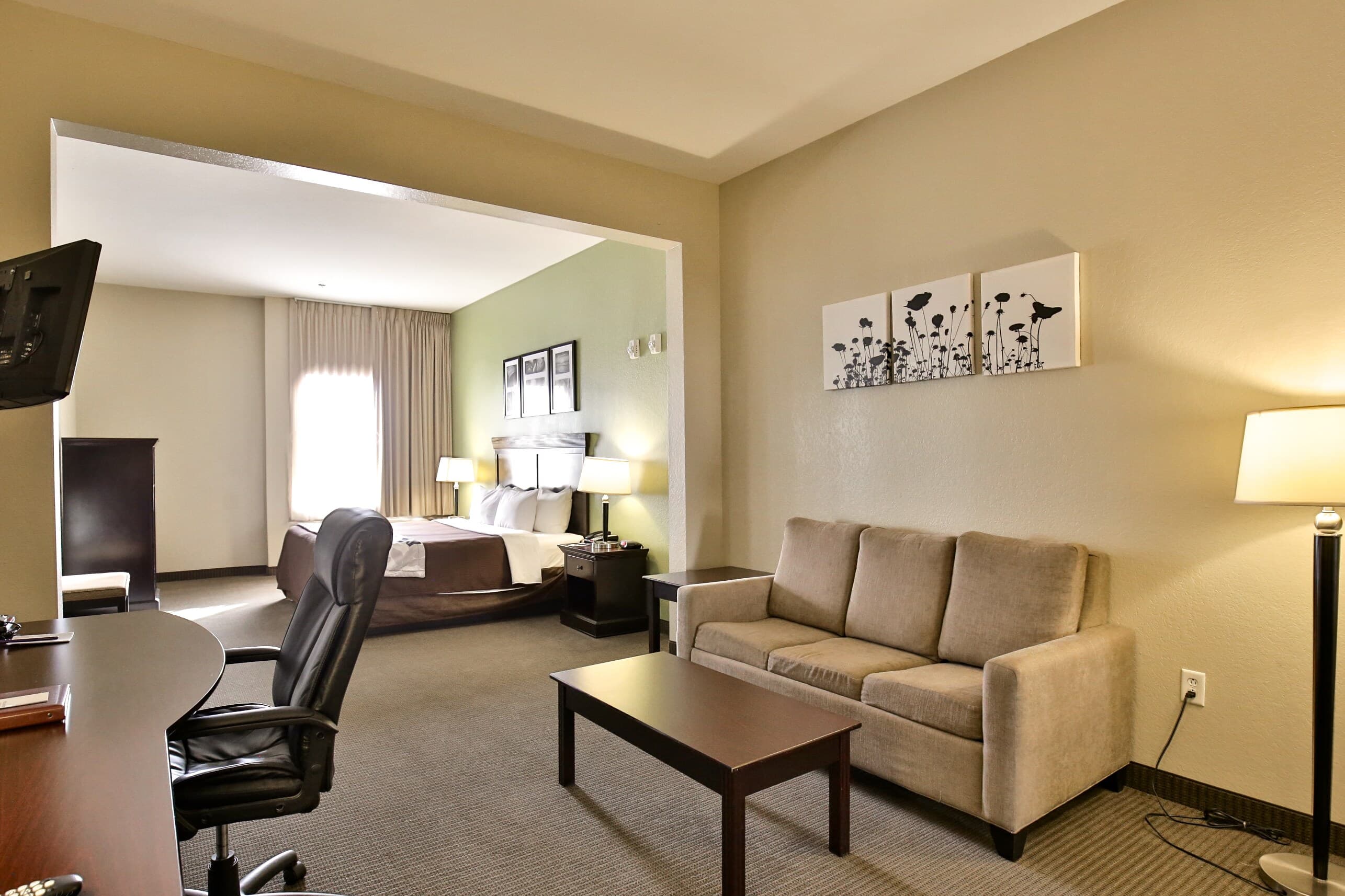 Sleep Inn & Suites Abilene Near University — 27