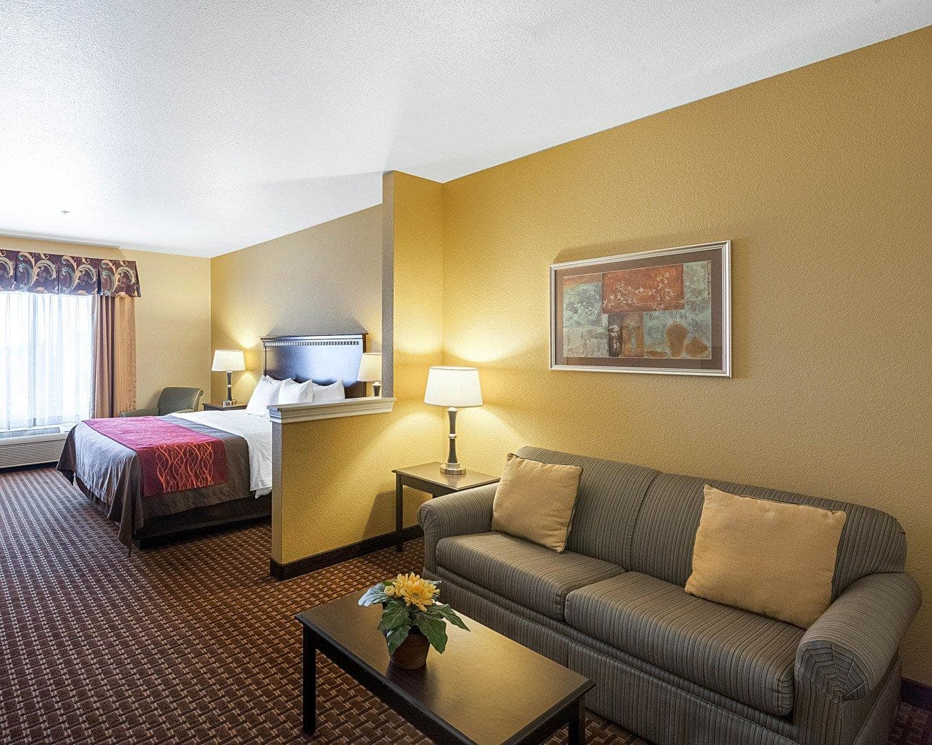 Comfort Inn & Suites Regional Medical Center — 11