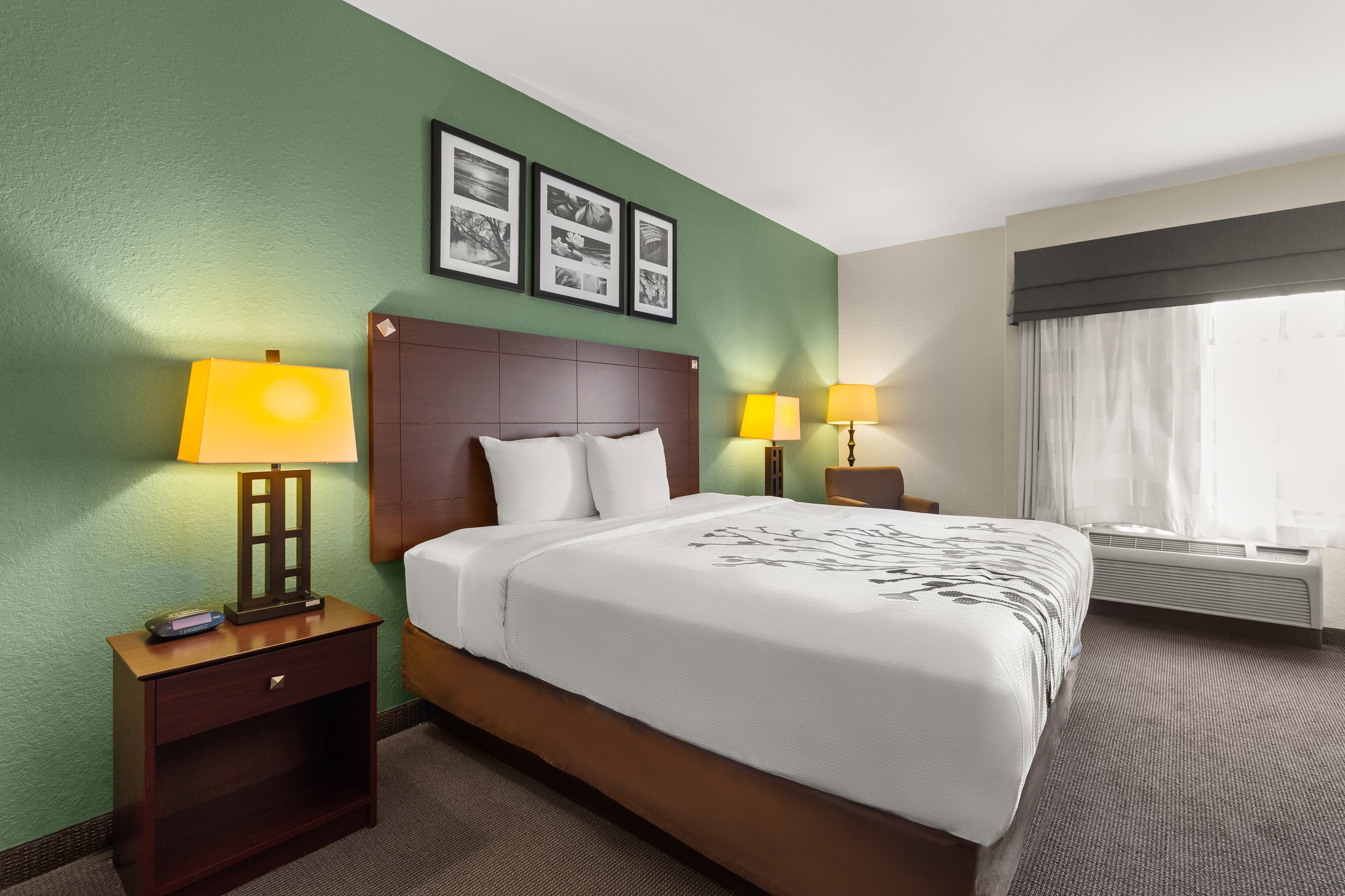 Sleep Inn & Suites Bush Intercontinental - IAH East - Image 2