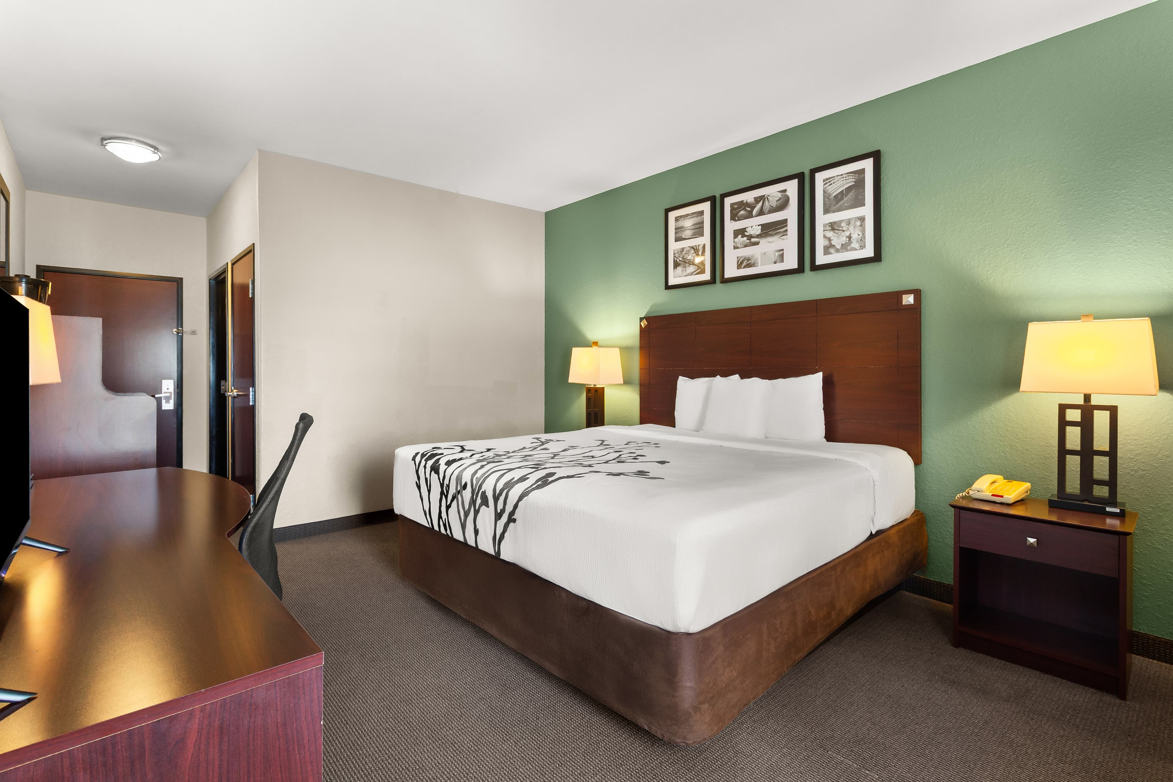 Sleep Inn & Suites Bush Intercontinental - IAH East - Image 3