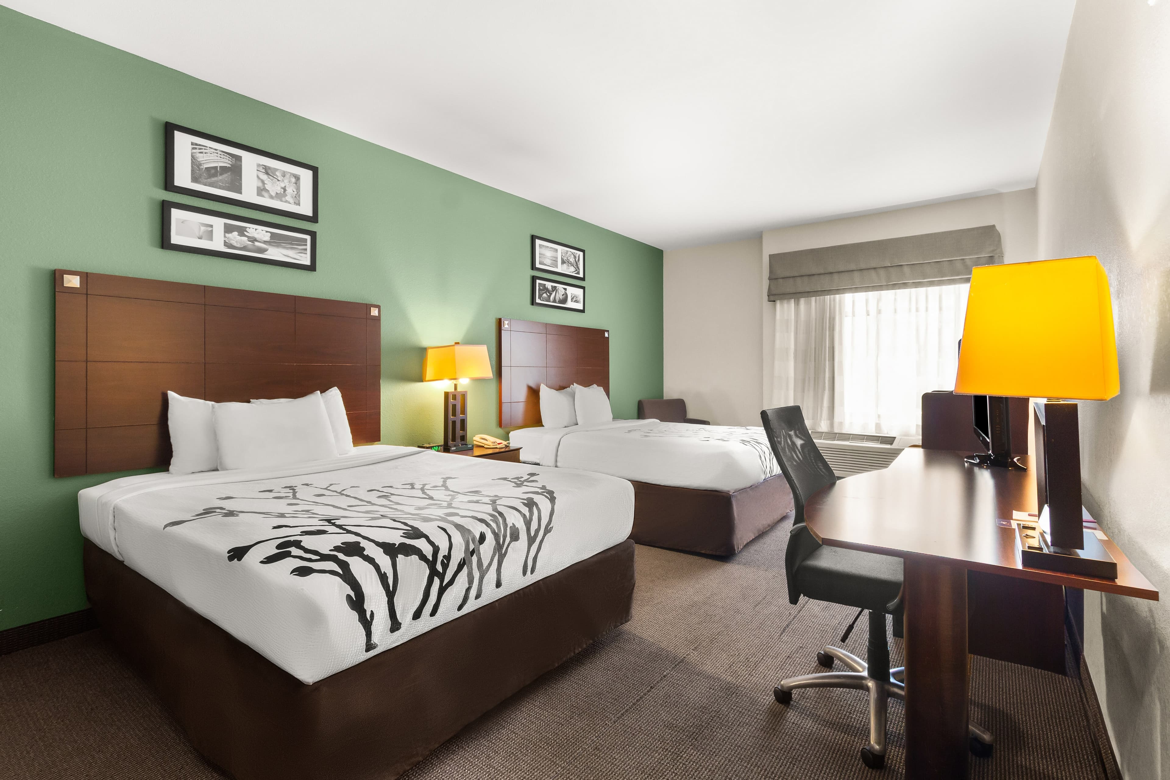 Sleep Inn & Suites Bush Intercontinental - IAH East — 8