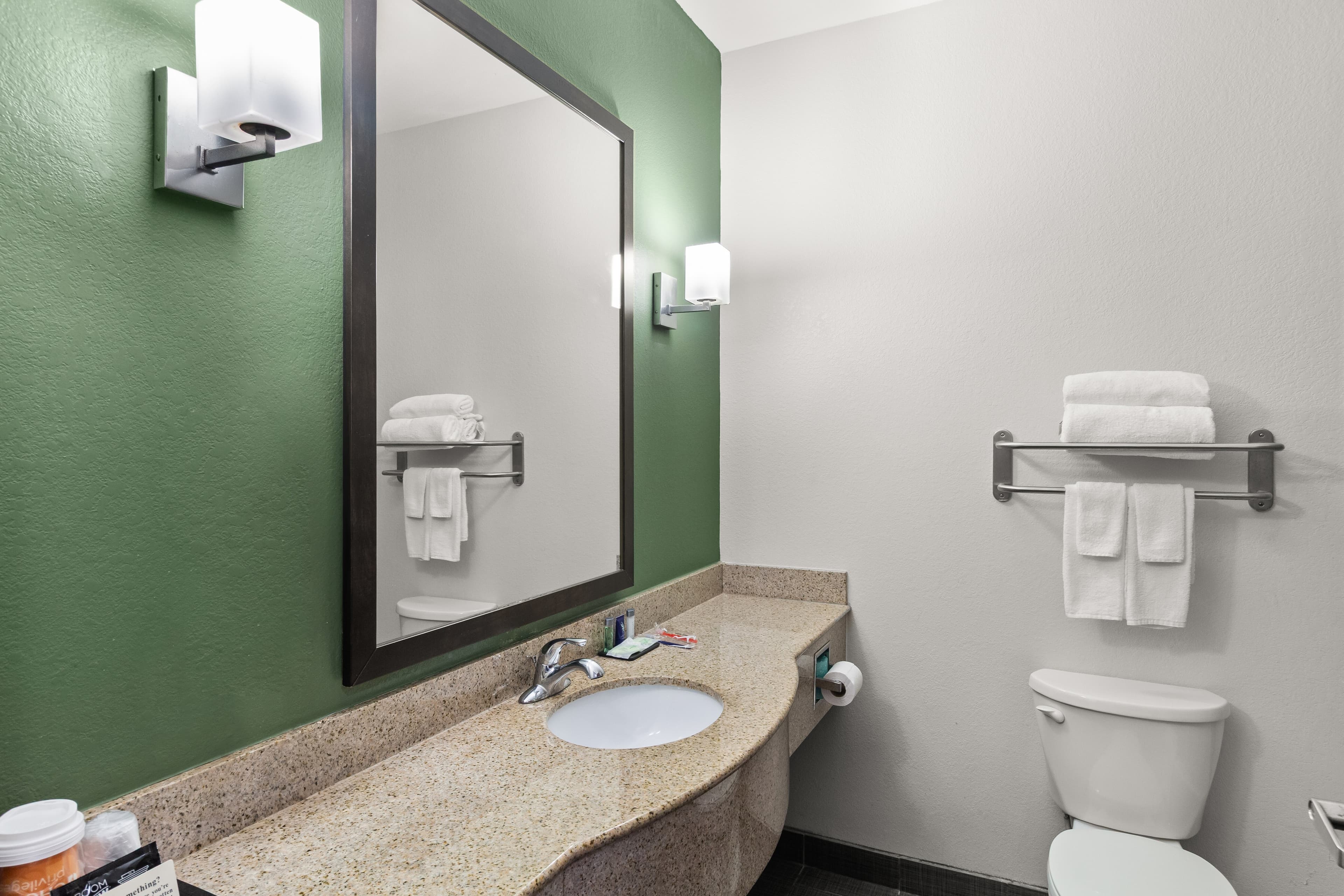 Sleep Inn & Suites Bush Intercontinental - IAH East — 11