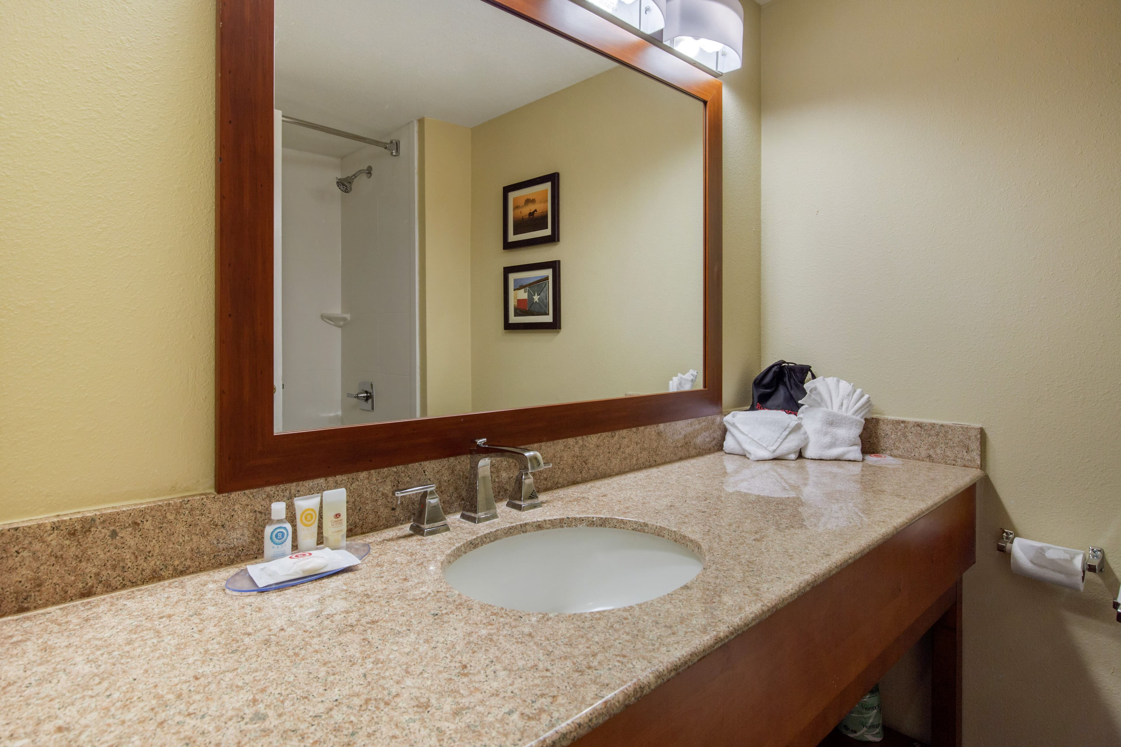 Comfort Inn & Suites SW Houston Sugarland — 15