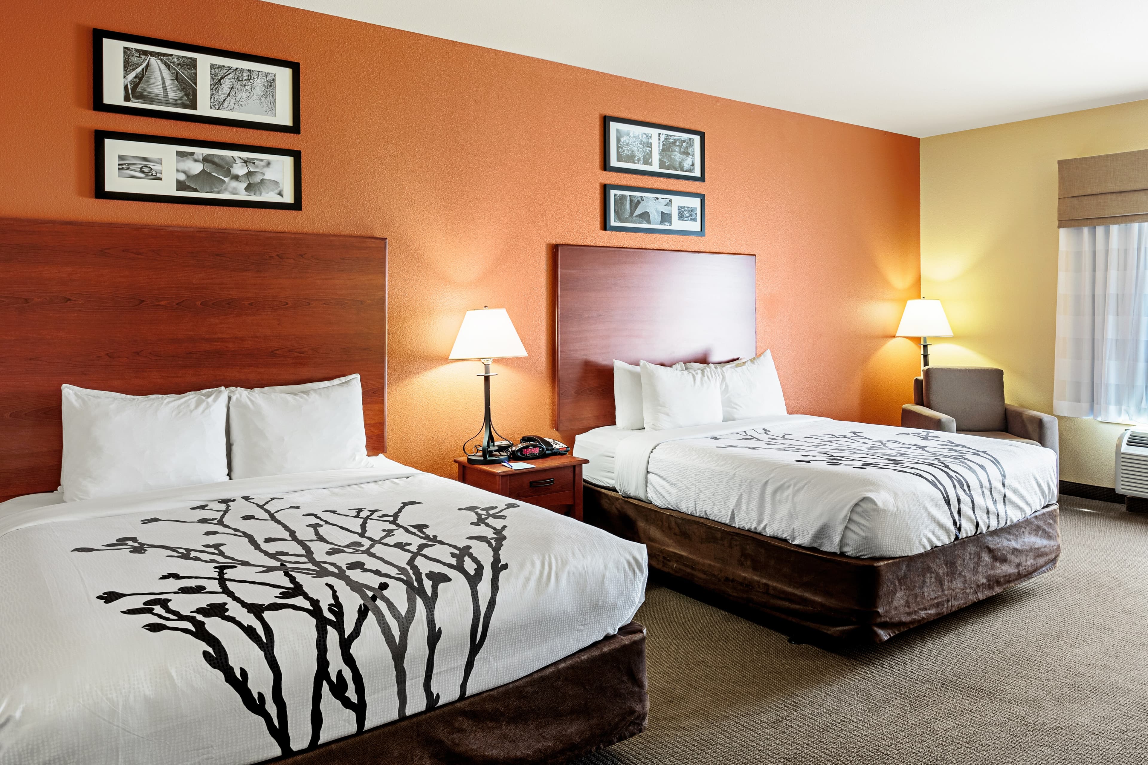 Sleep Inn & Suites Tyler South - Image 4