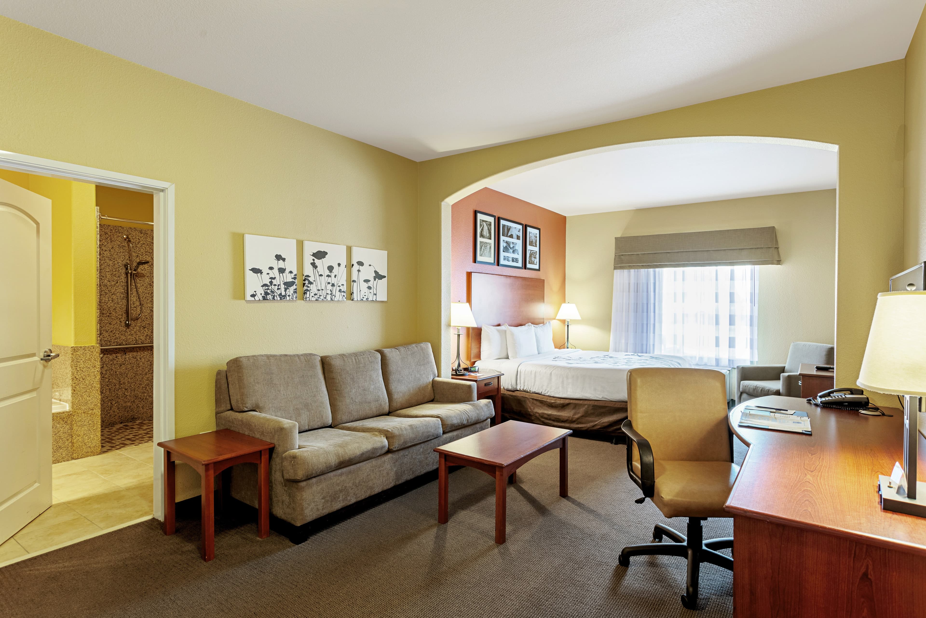 Sleep Inn & Suites Tyler South — 13